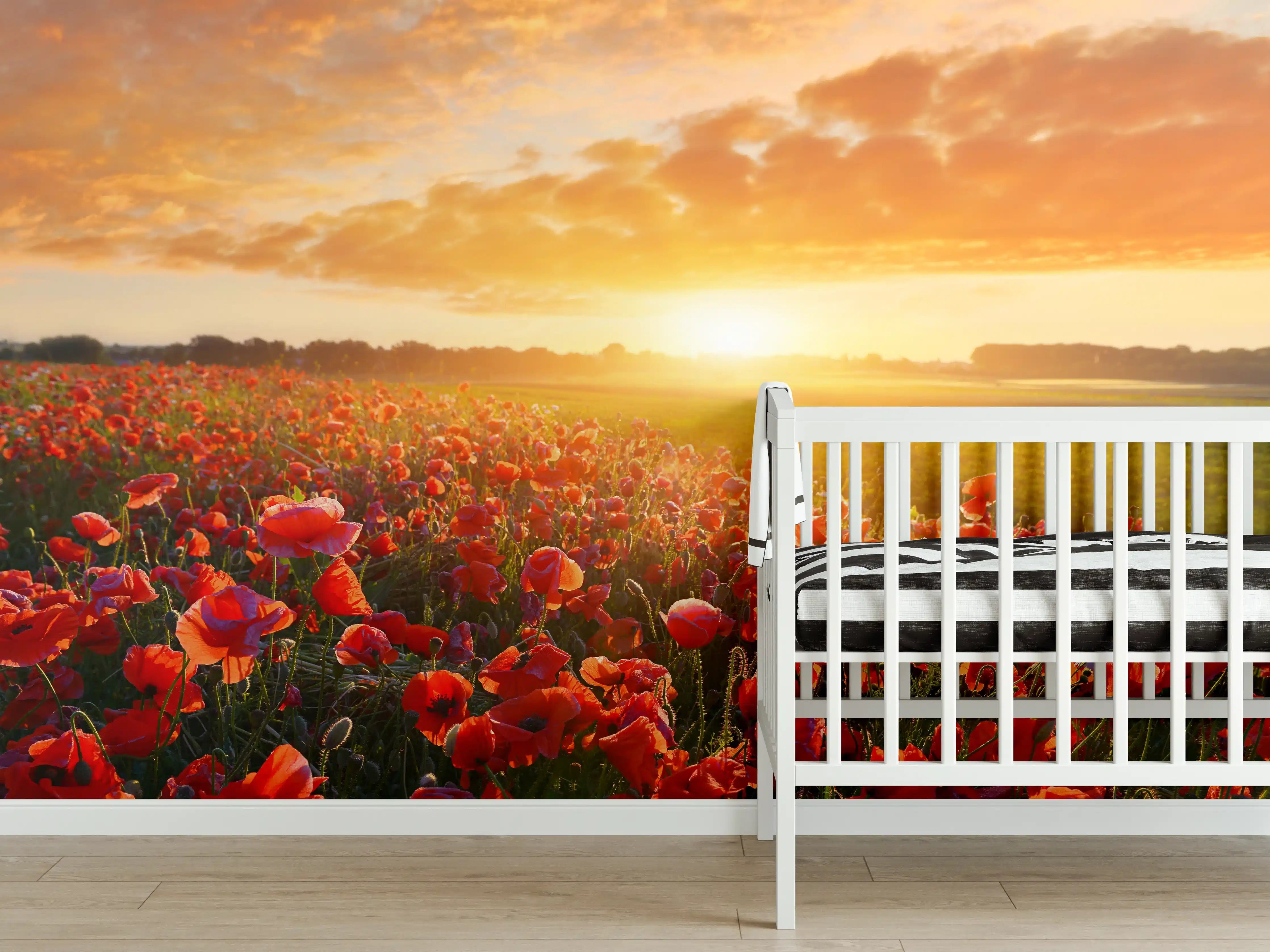 Babyzimmer Wandgestaltung - Mohnblüten bei Sonnenaufgang in Kassel