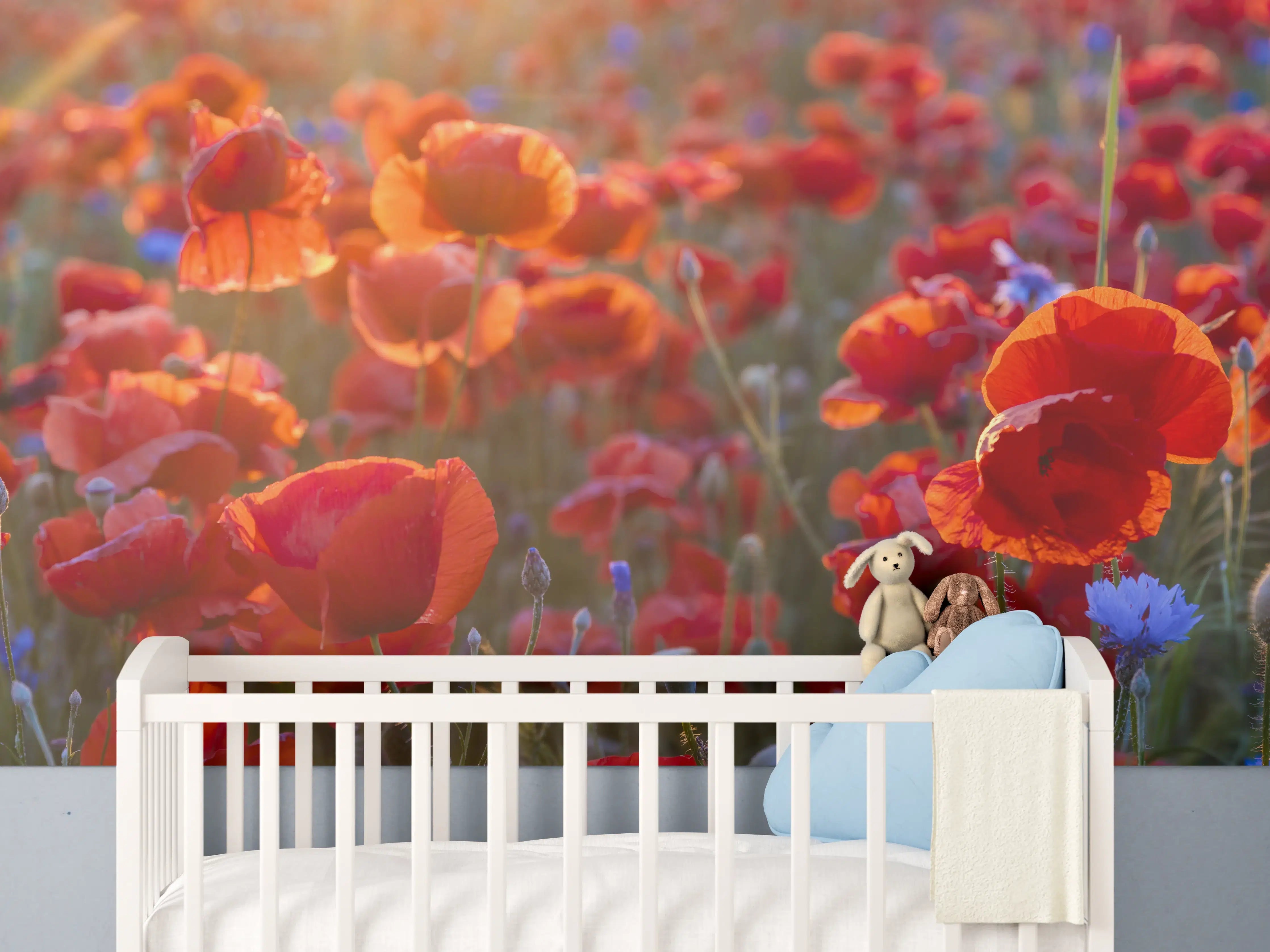 Babyzimmer Wandgestaltung - Mohnwiese im Licht der untergehenden Sonne