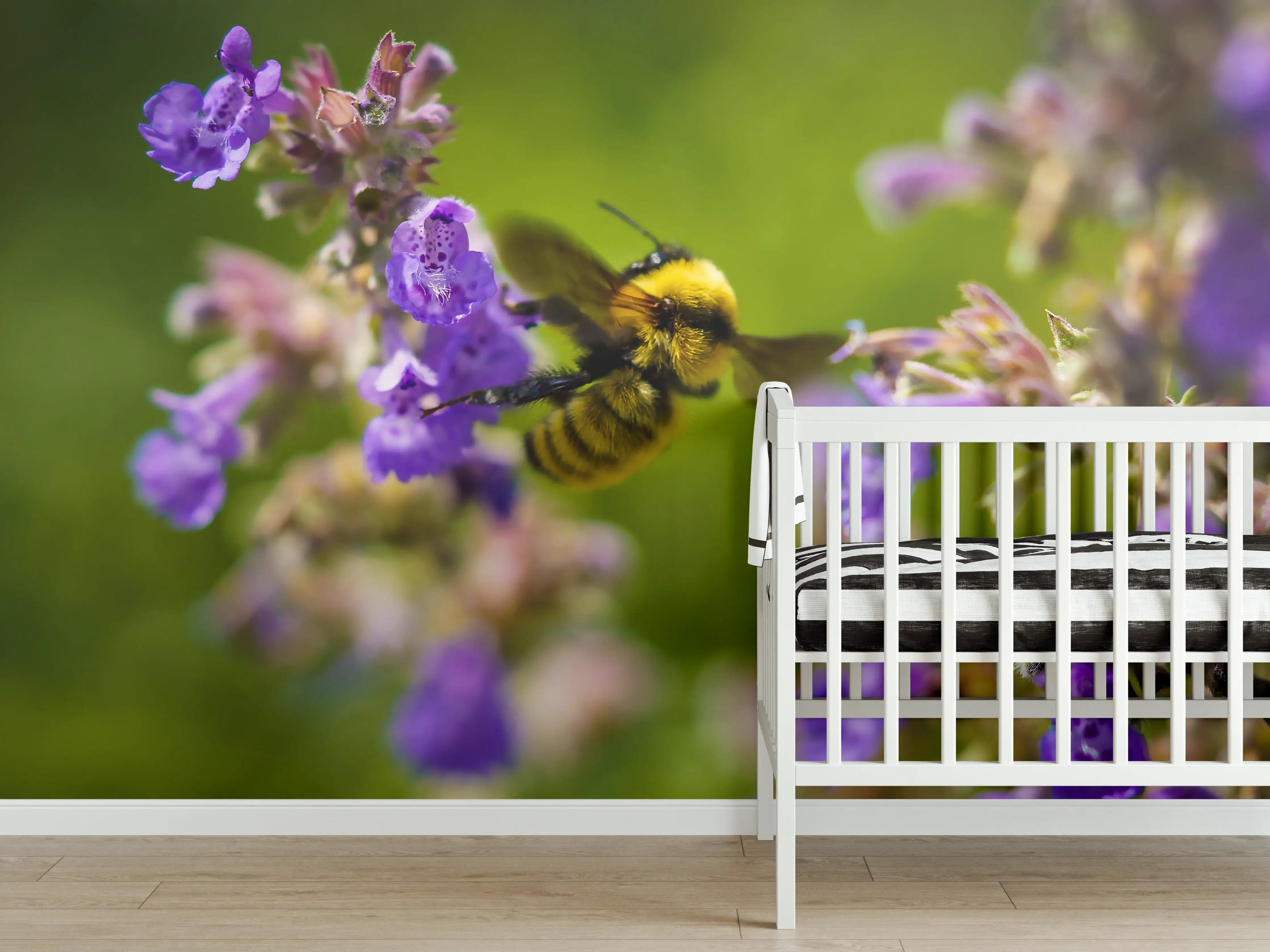 Babyzimmer Wandgestaltung - Nahaufnahme einer Honigbiene