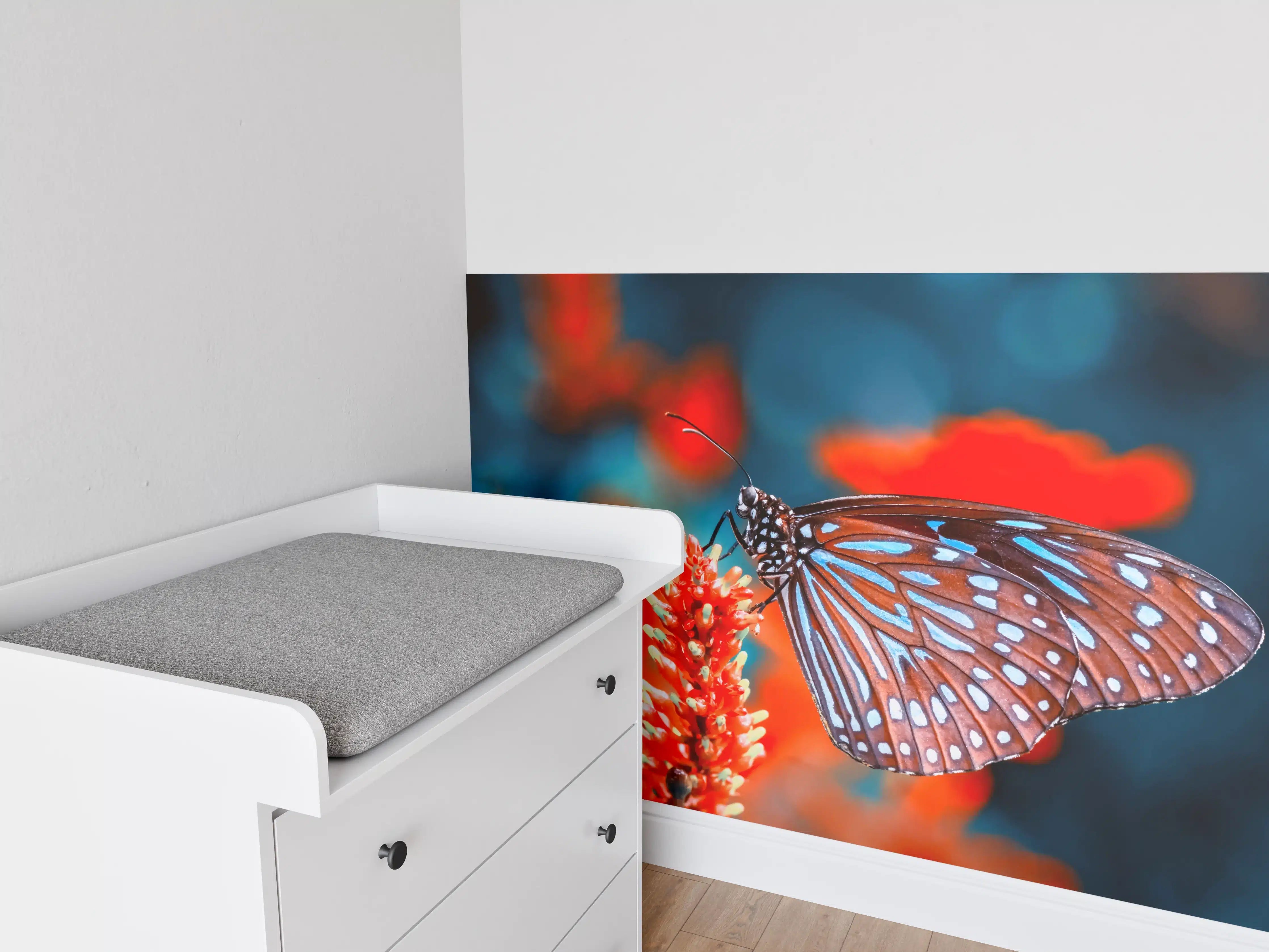 Babyzimmer Wandgestaltung - Nahaufnahme eines bezaubernden Schmetterlings