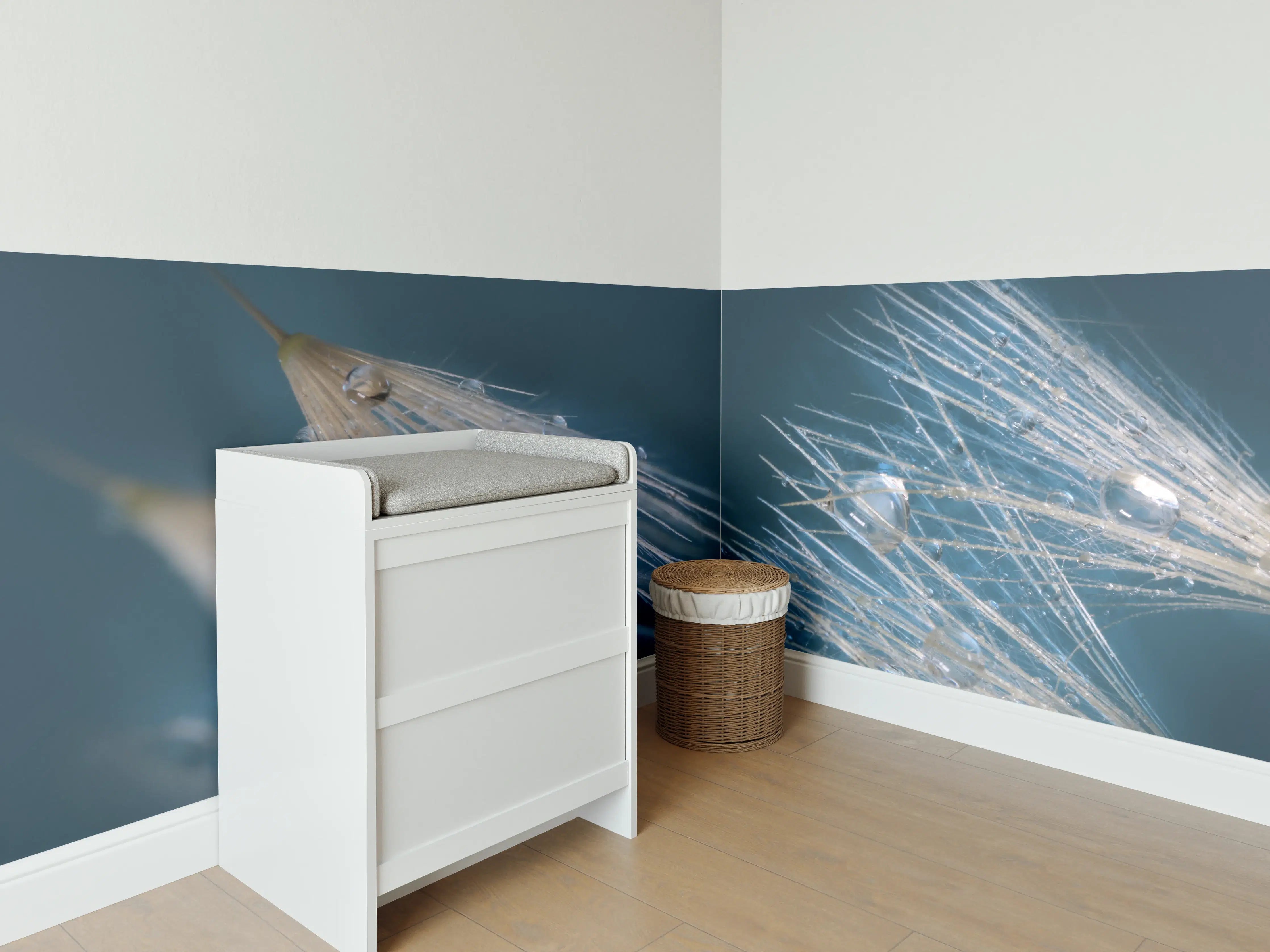 Babyzimmer Wandgestaltung - Nahaufnahme von Pusteblumen mit Tautropfen