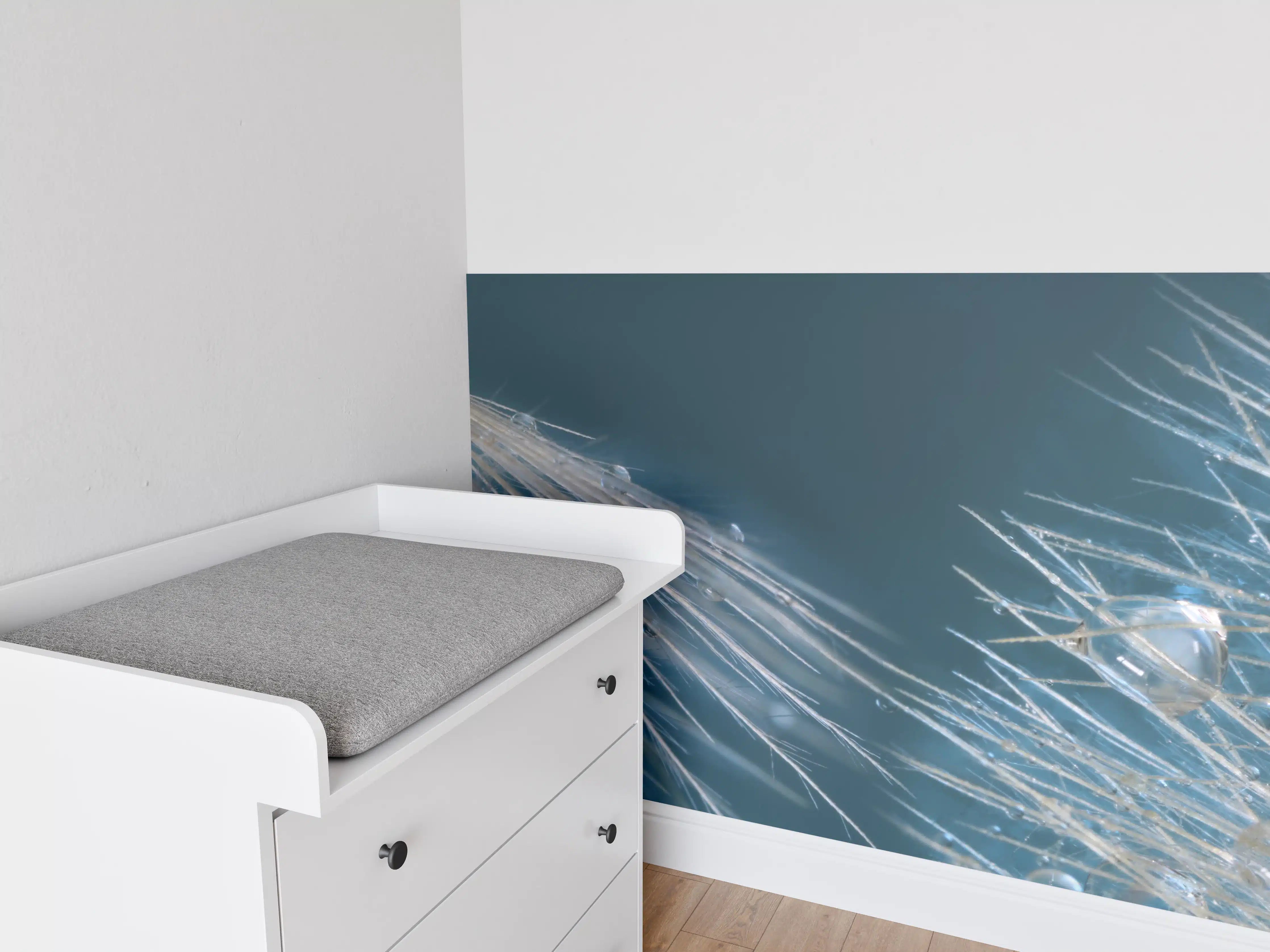 Babyzimmer Wandgestaltung - Nahaufnahme von Pusteblumen mit Tautropfen