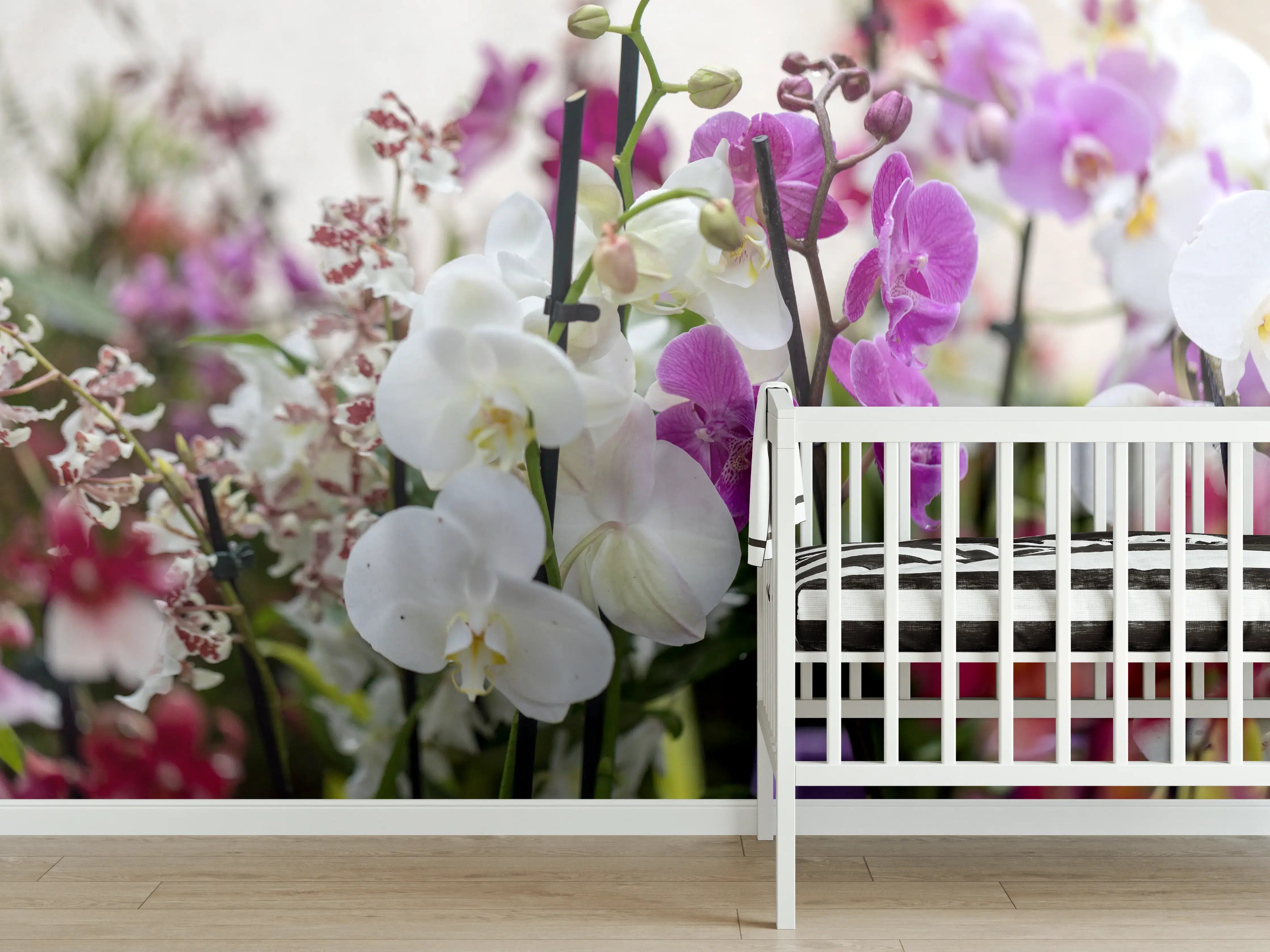 Babyzimmer Wandgestaltung - Nahaufnahme von bunten Orchideen