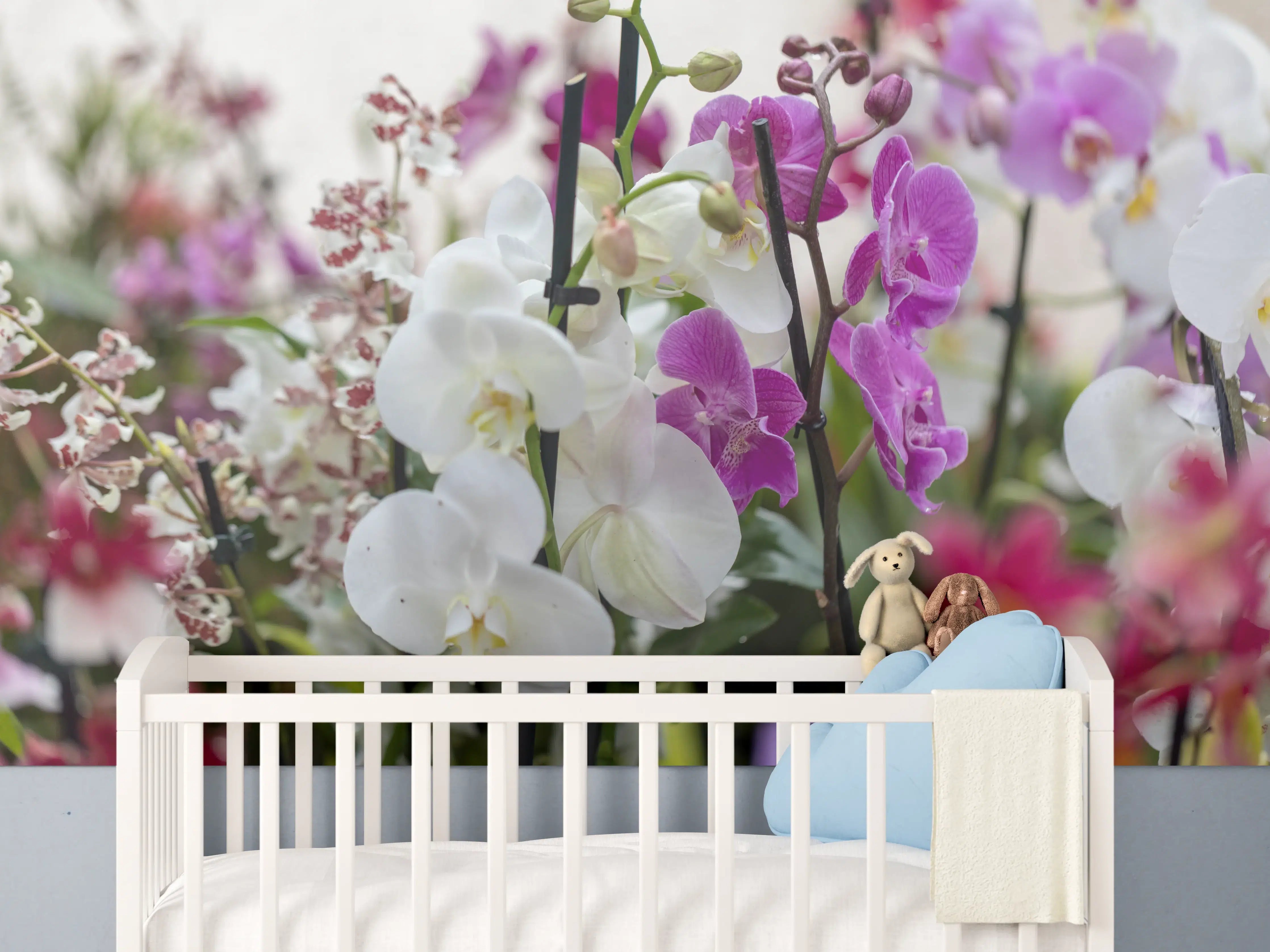 Babyzimmer Wandgestaltung - Nahaufnahme von bunten Orchideen