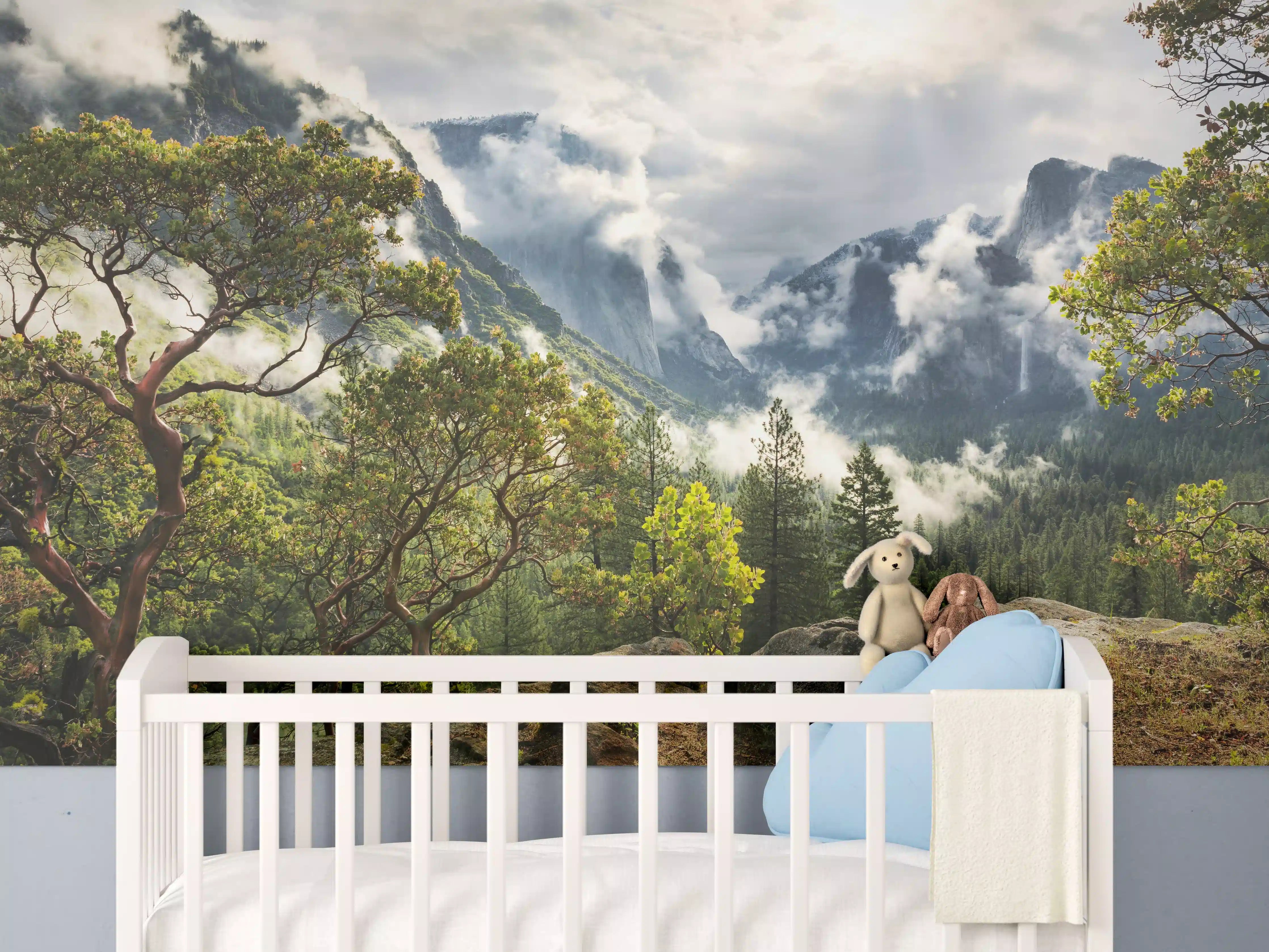 Babyzimmer Wandgestaltung - Nationalpark - Kalifornien, USA