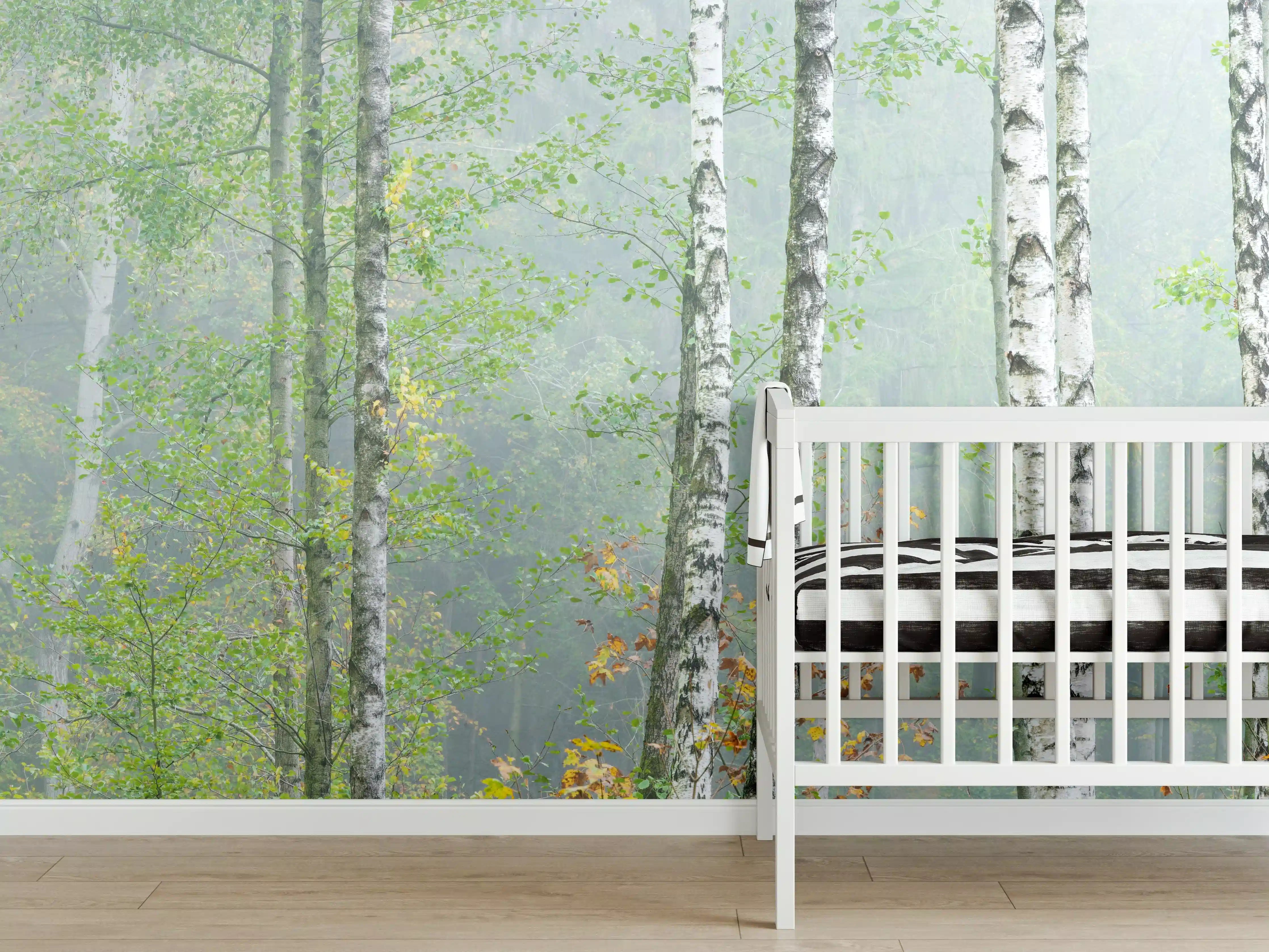Babyzimmer Wandgestaltung - Nebeliger Birkenwald