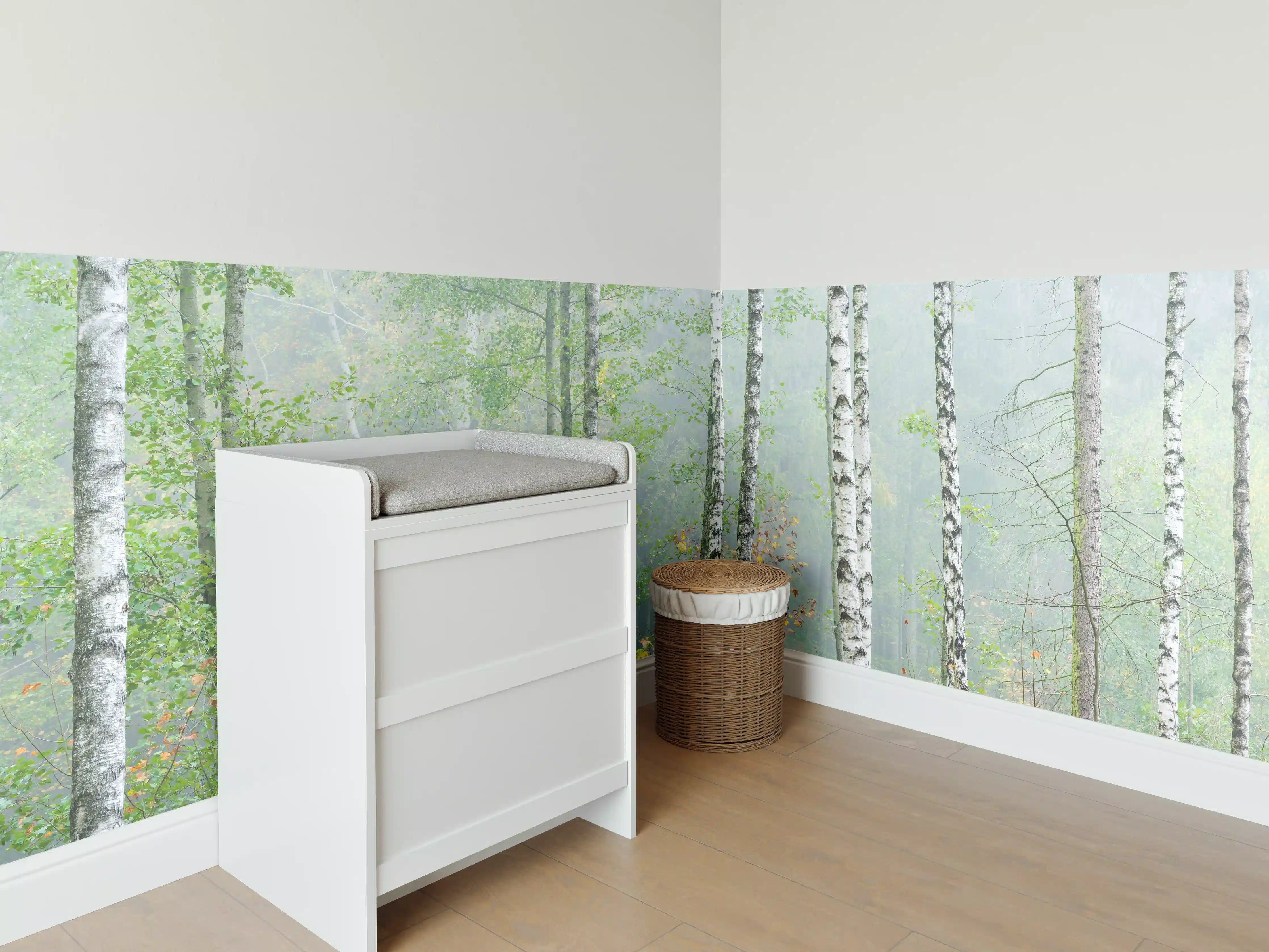 Babyzimmer Wandgestaltung - Nebeliger Birkenwald