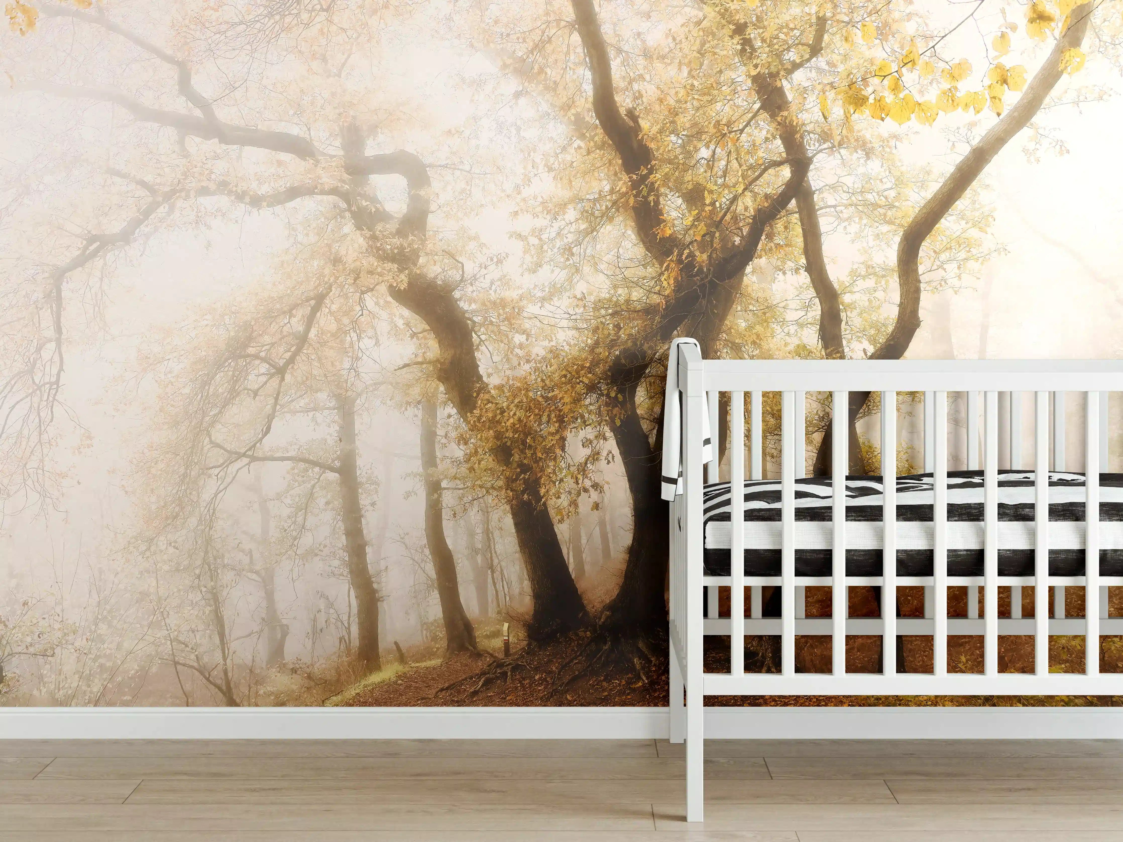 Babyzimmer Wandgestaltung - Nebeliger Wald im Herbst