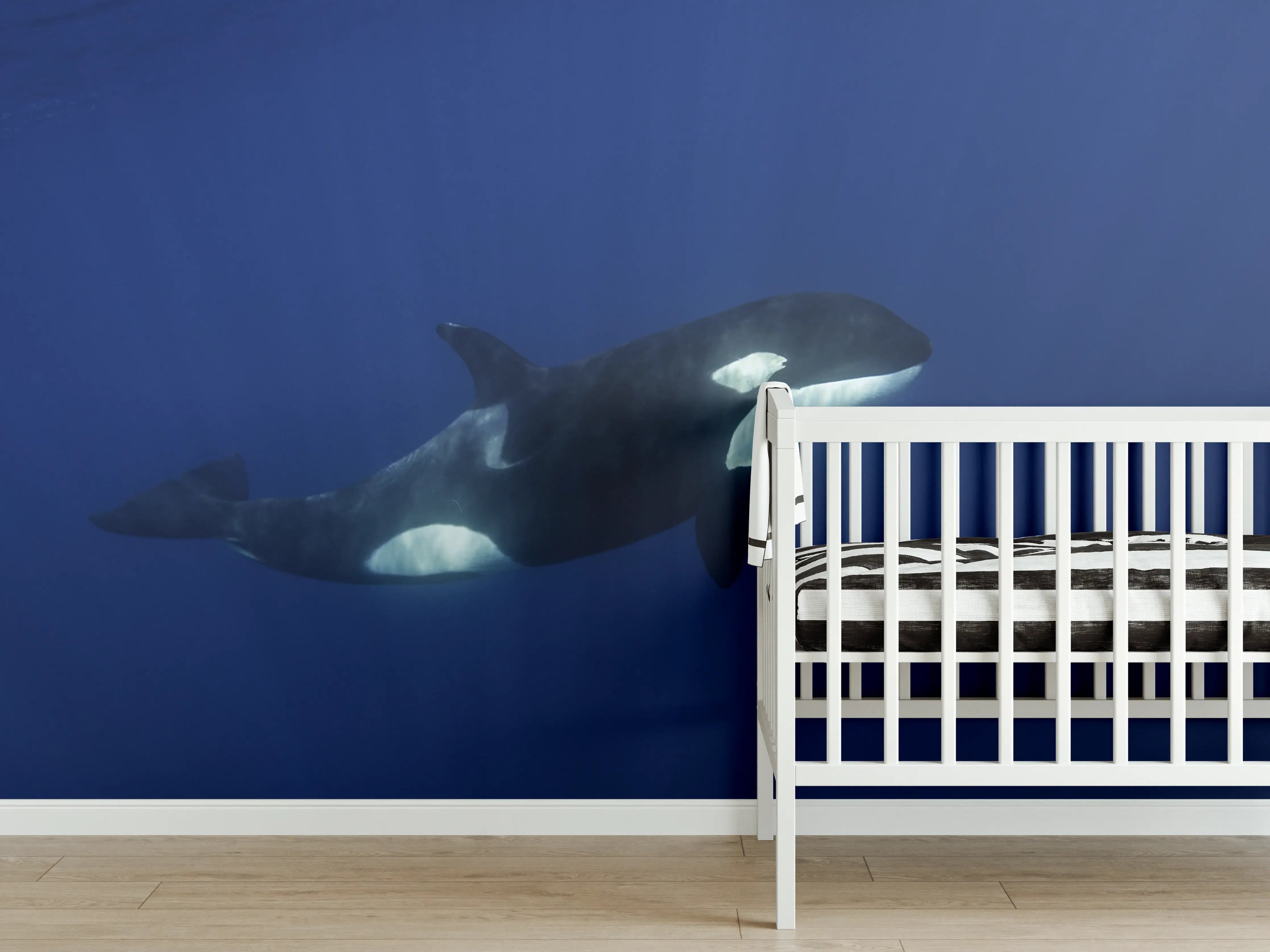 Babyzimmer Wandgestaltung - Orca im blauen Pazifik