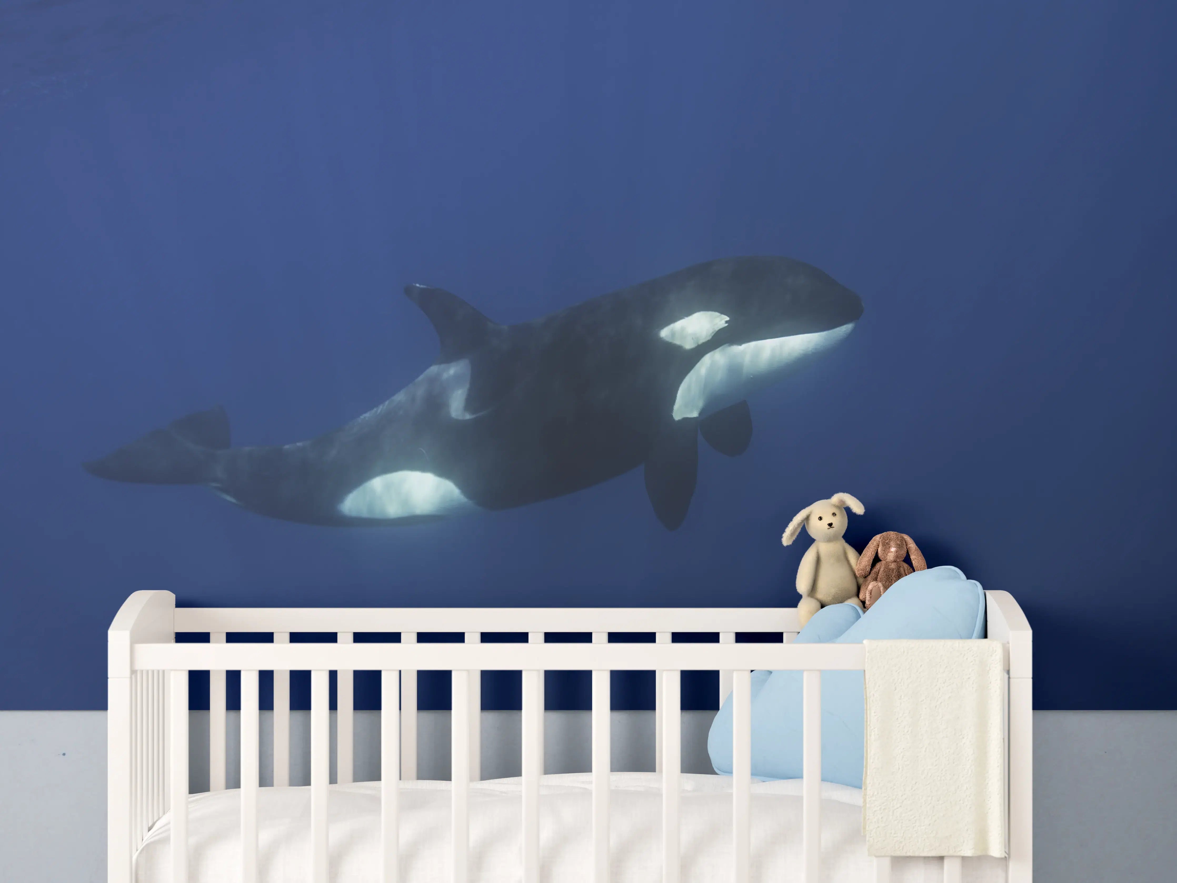 Babyzimmer Wandgestaltung - Orca im blauen Pazifik