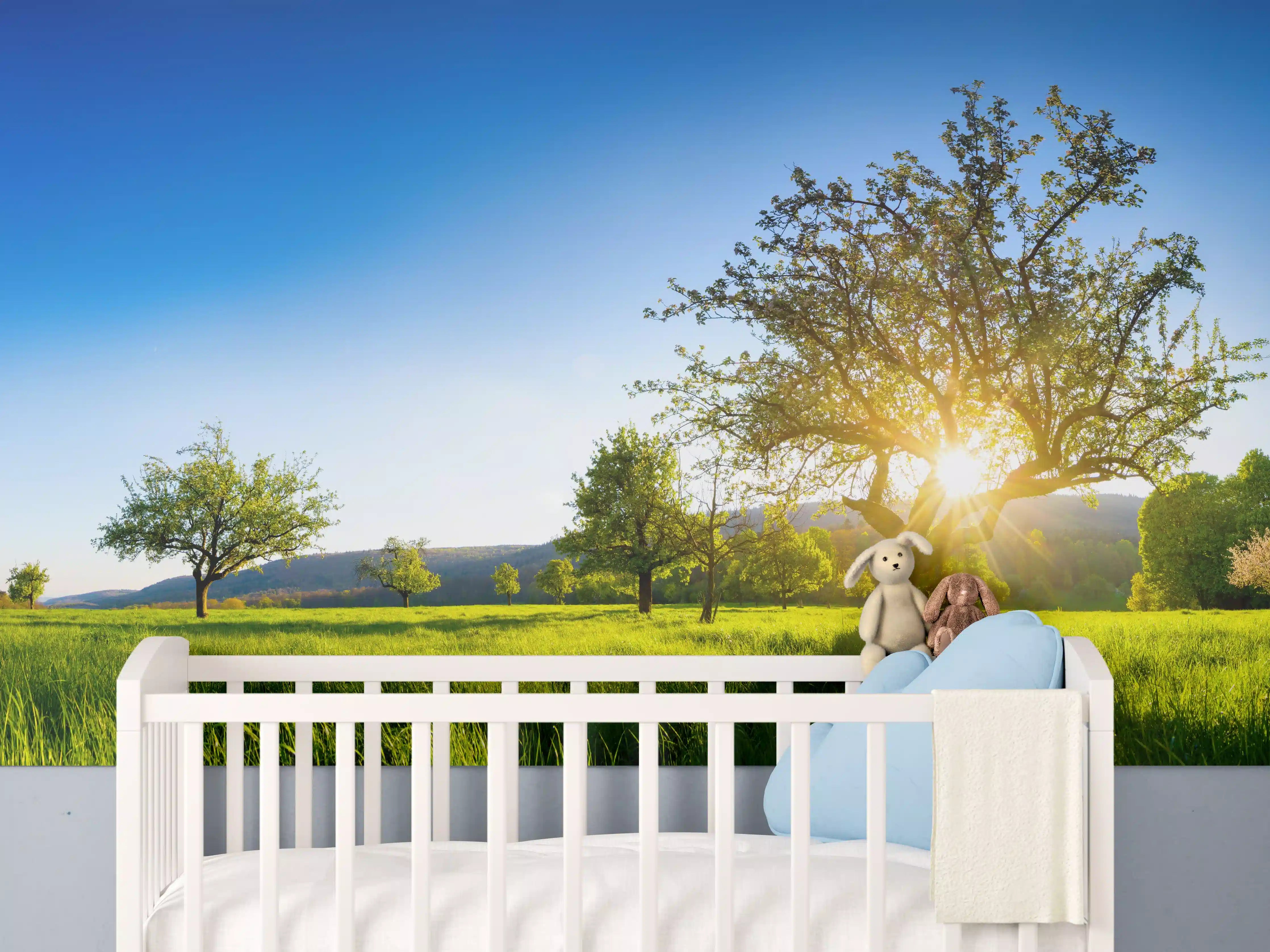 Babyzimmer Wandgestaltung - Panorama Ländliche Idylle