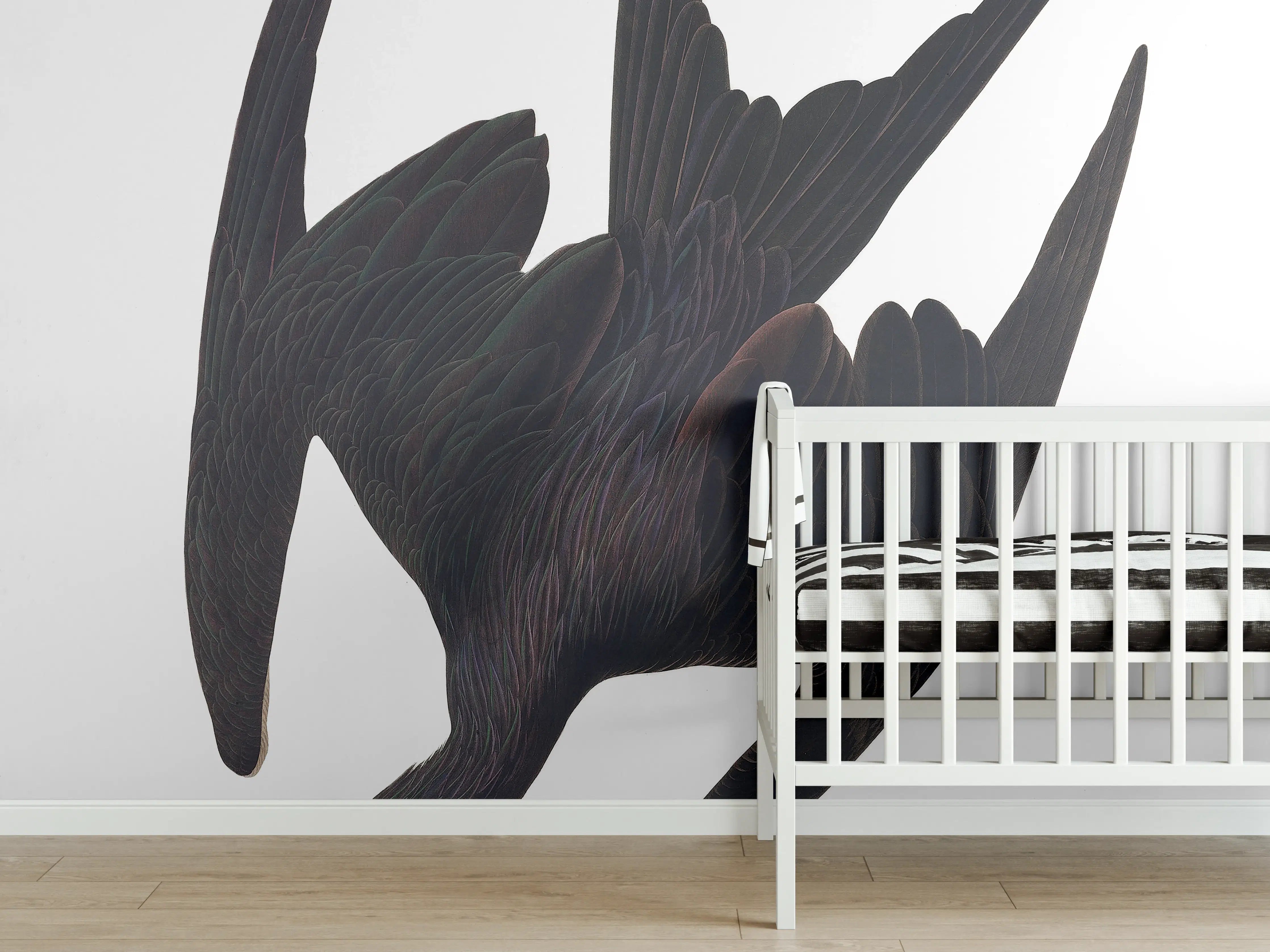 Babyzimmer Wandgestaltung - Pelikan Portrait - Robert Havell 