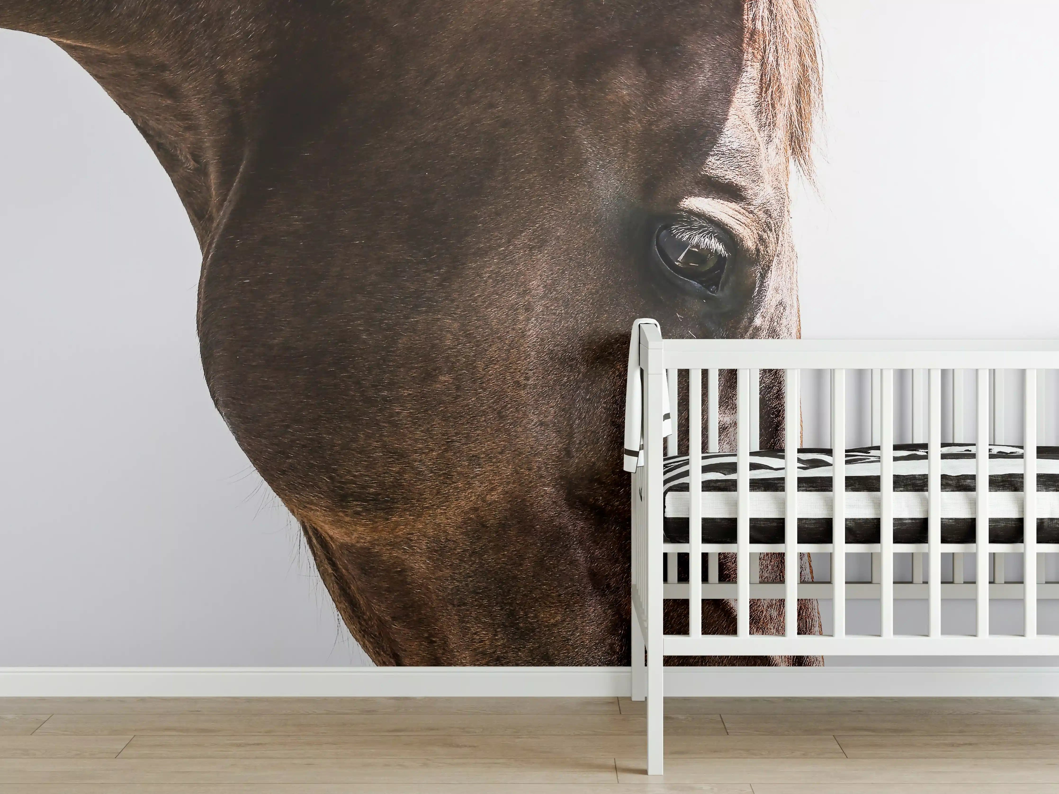 Babyzimmer Wandgestaltung - Pferde Auge Makroaufnahme