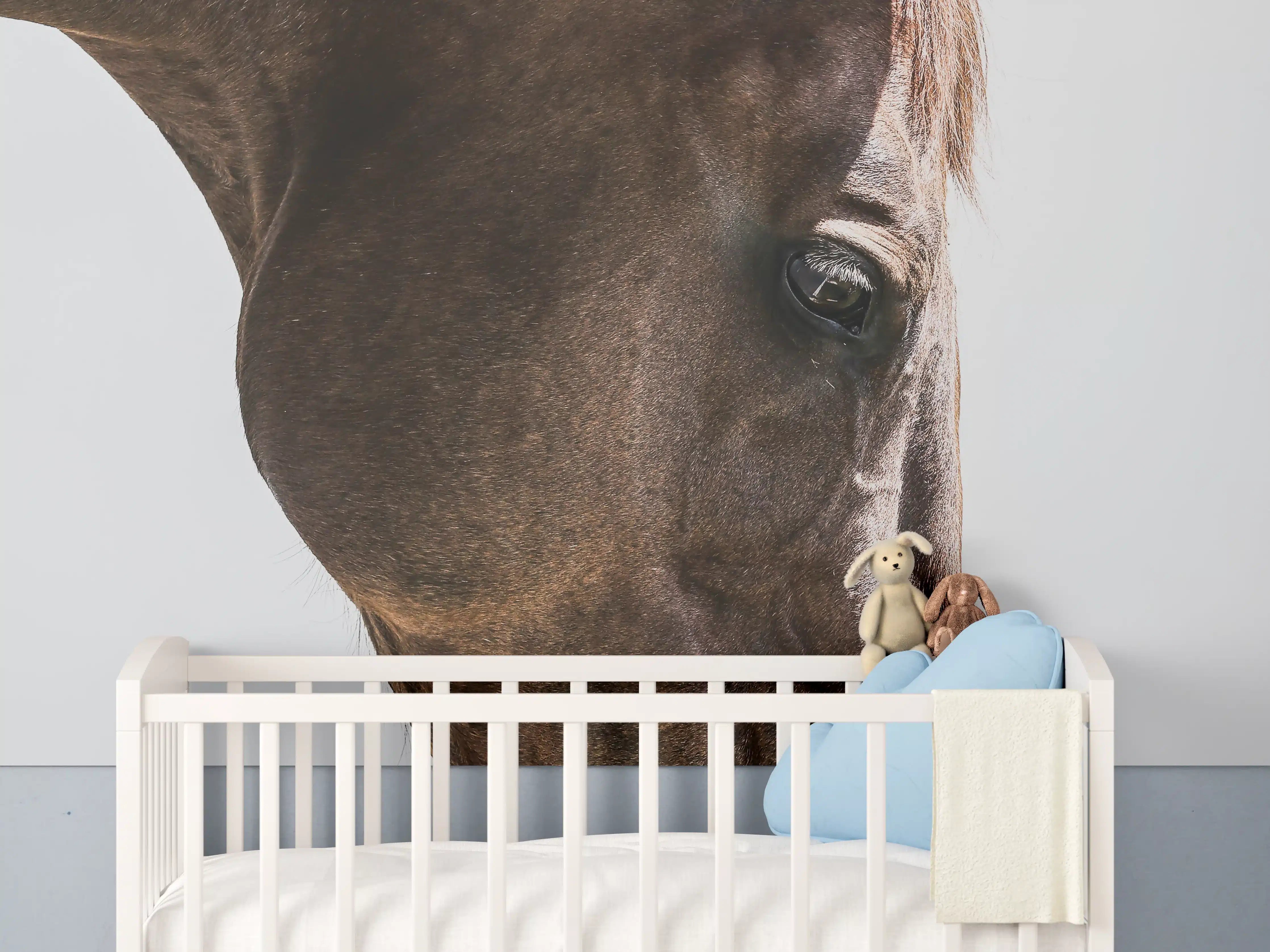 Babyzimmer Wandgestaltung - Pferde Auge Makroaufnahme