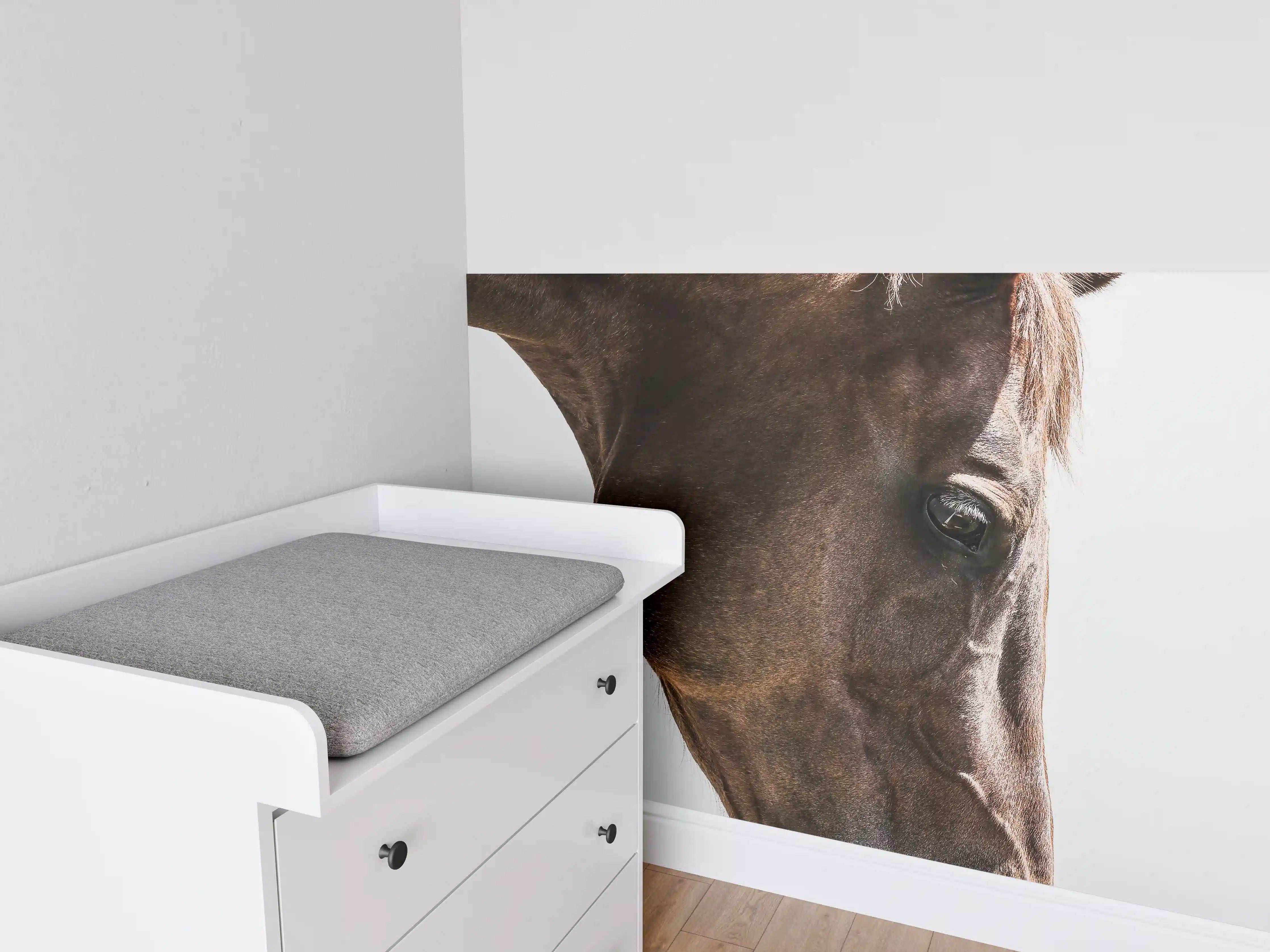Babyzimmer Wandgestaltung - Pferde Auge Makroaufnahme