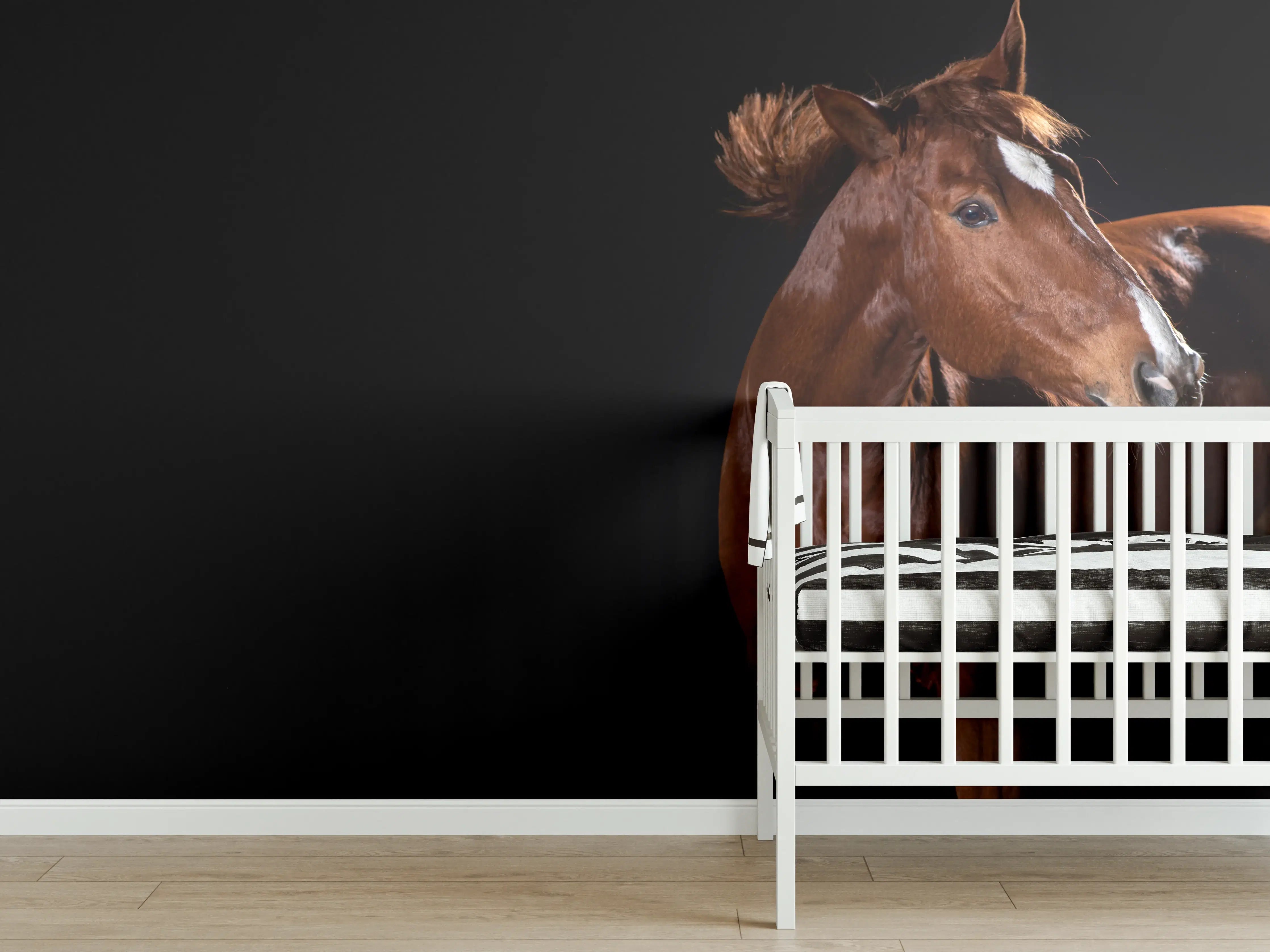 Babyzimmer Wandgestaltung - Pferdeporträt auf schwarzem Hintergrund