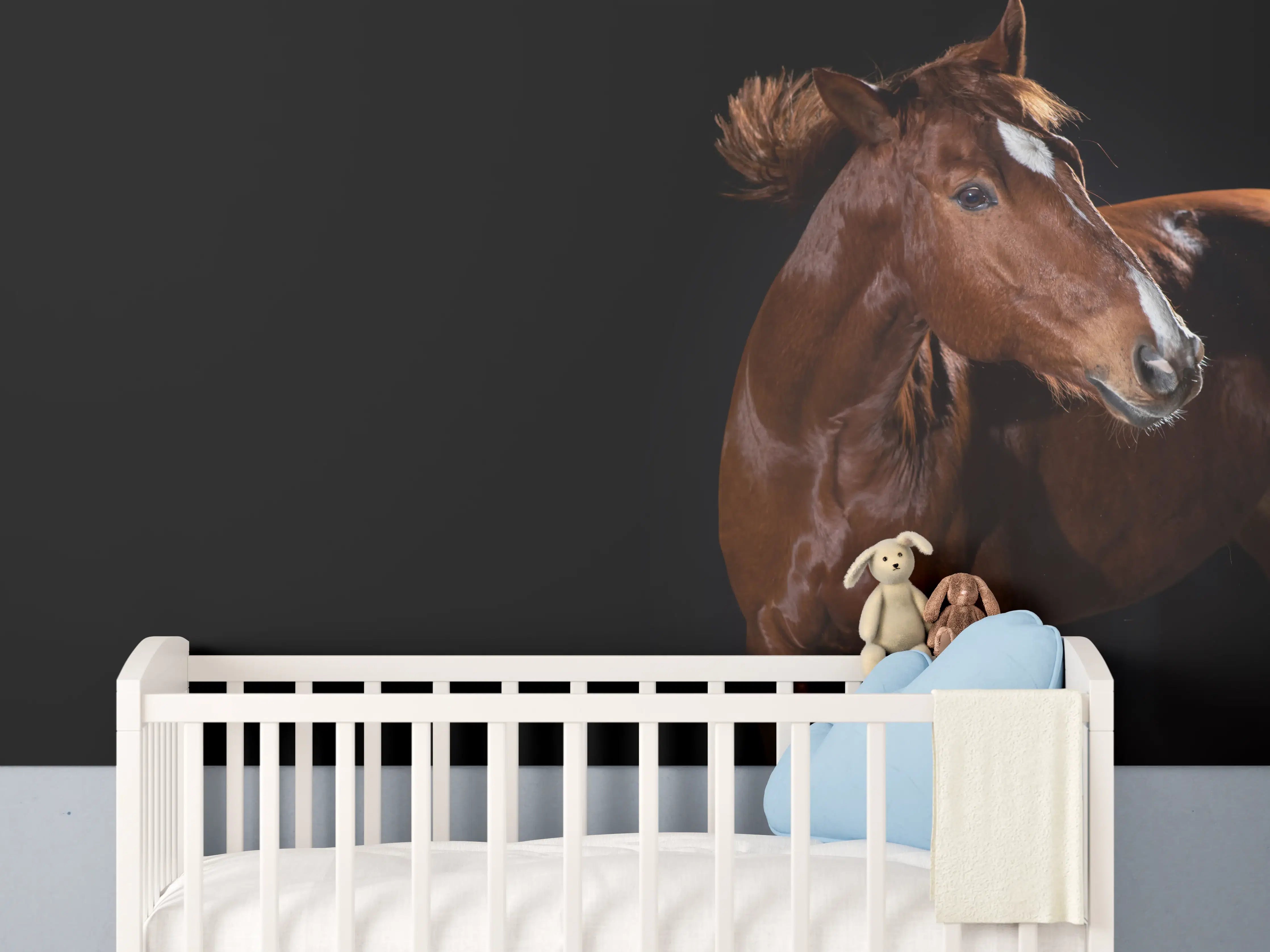 Babyzimmer Wandgestaltung - Pferdeporträt auf schwarzem Hintergrund