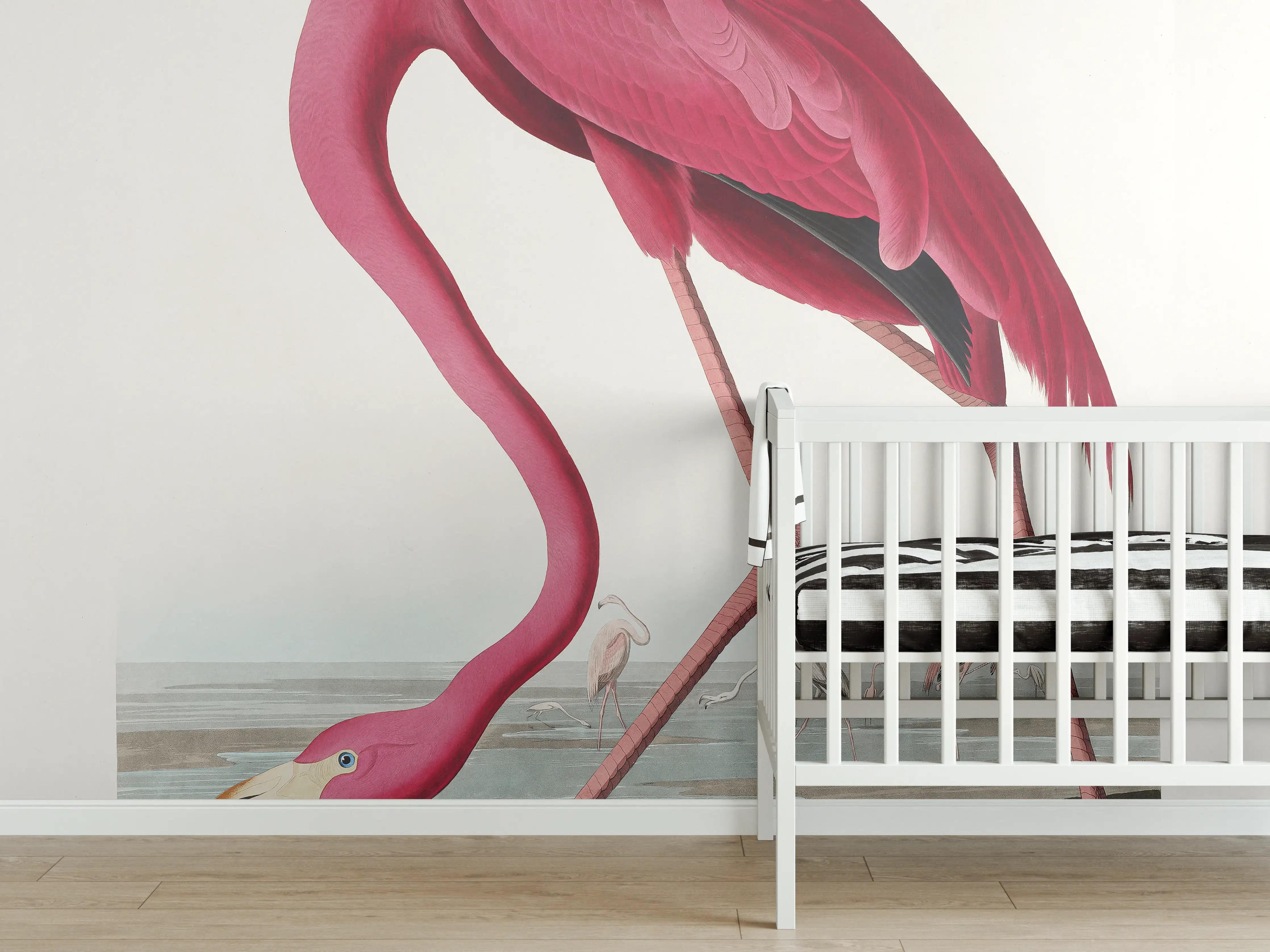 Babyzimmer Wandgestaltung - Pinker Flamingo - John James Audubon