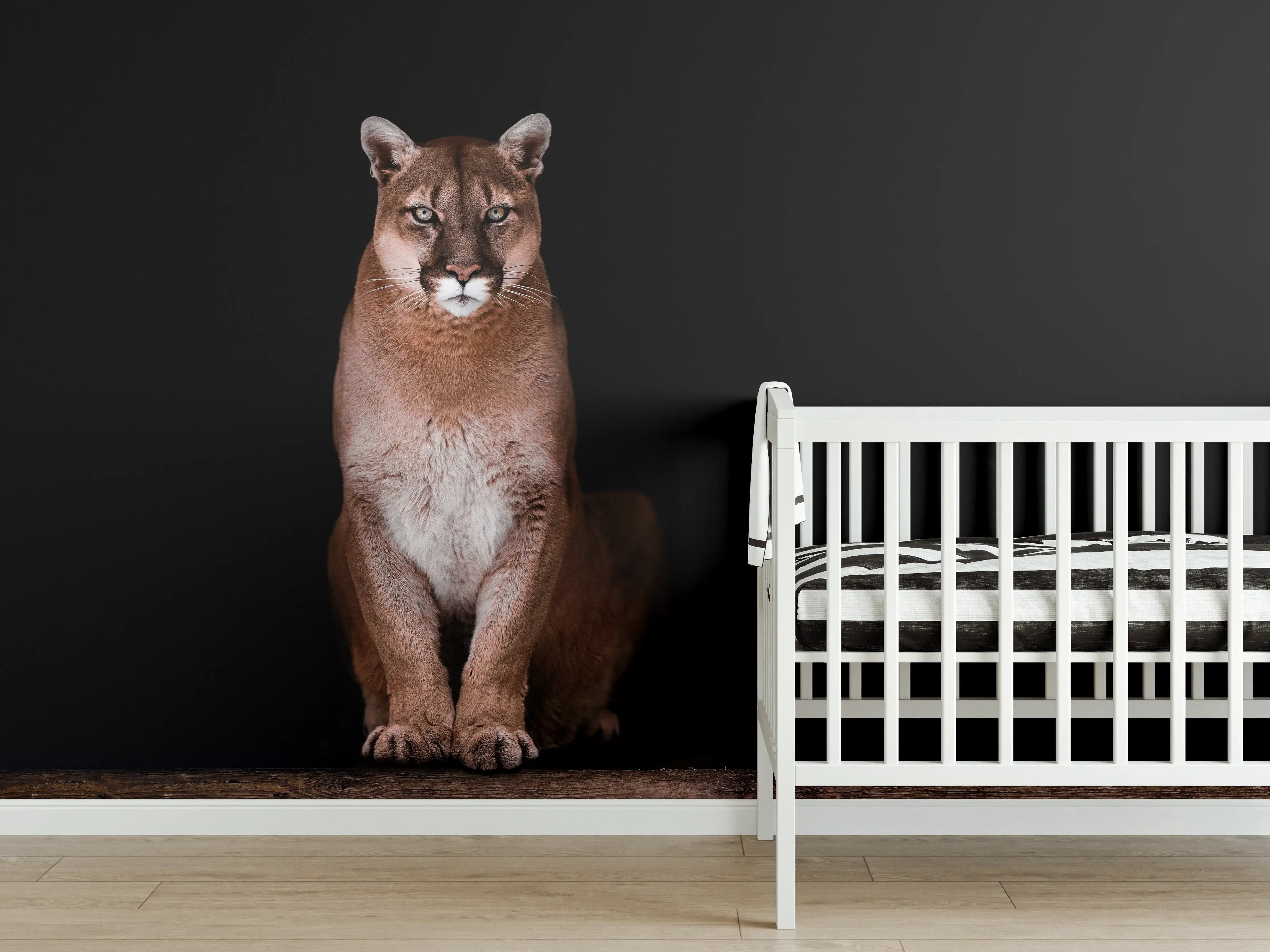 Babyzimmer Wandgestaltung - Porträt des schönen Pumas