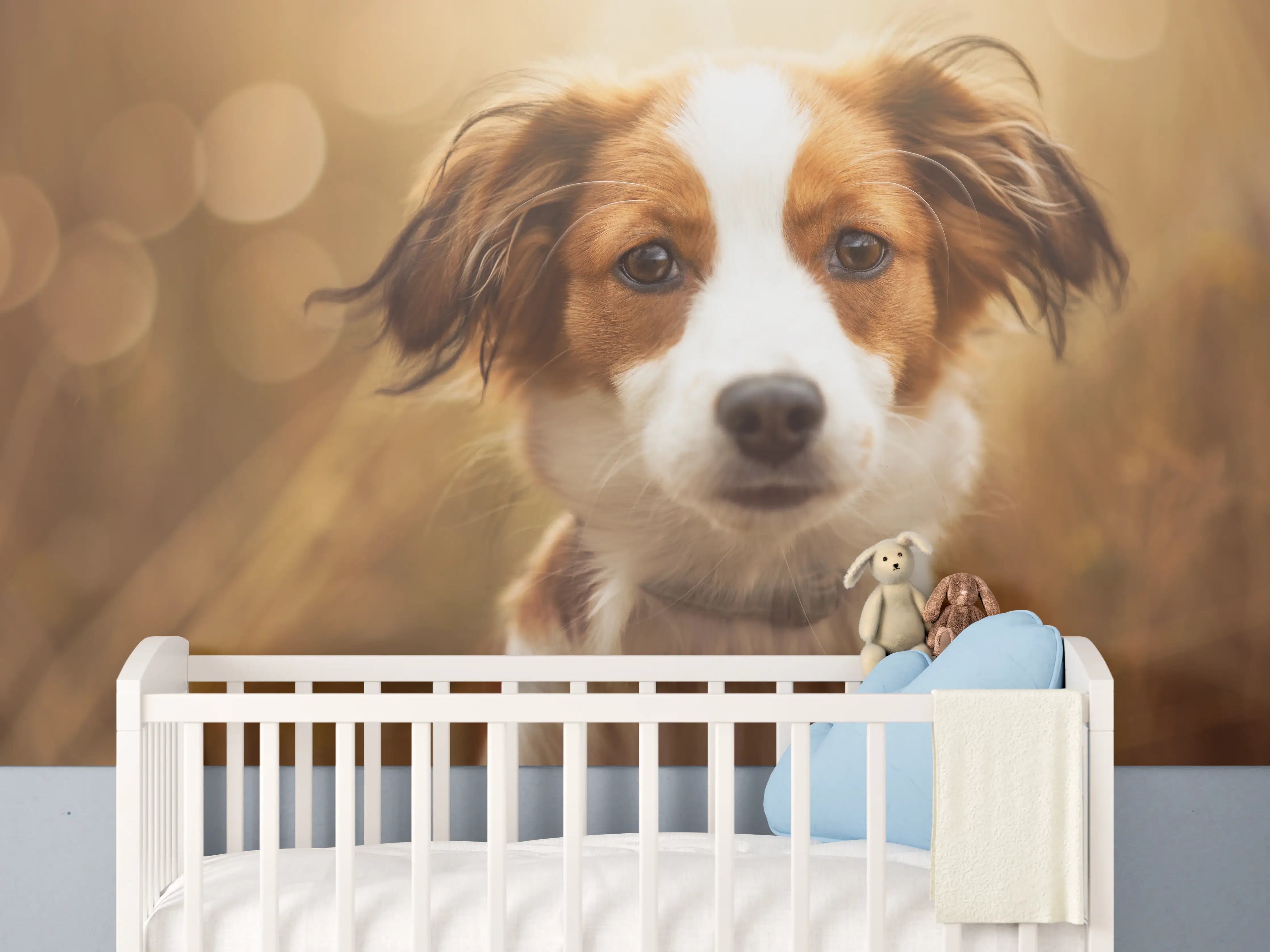 Babyzimmer Wandgestaltung - Portrait eines süßen Kooiker Hundes