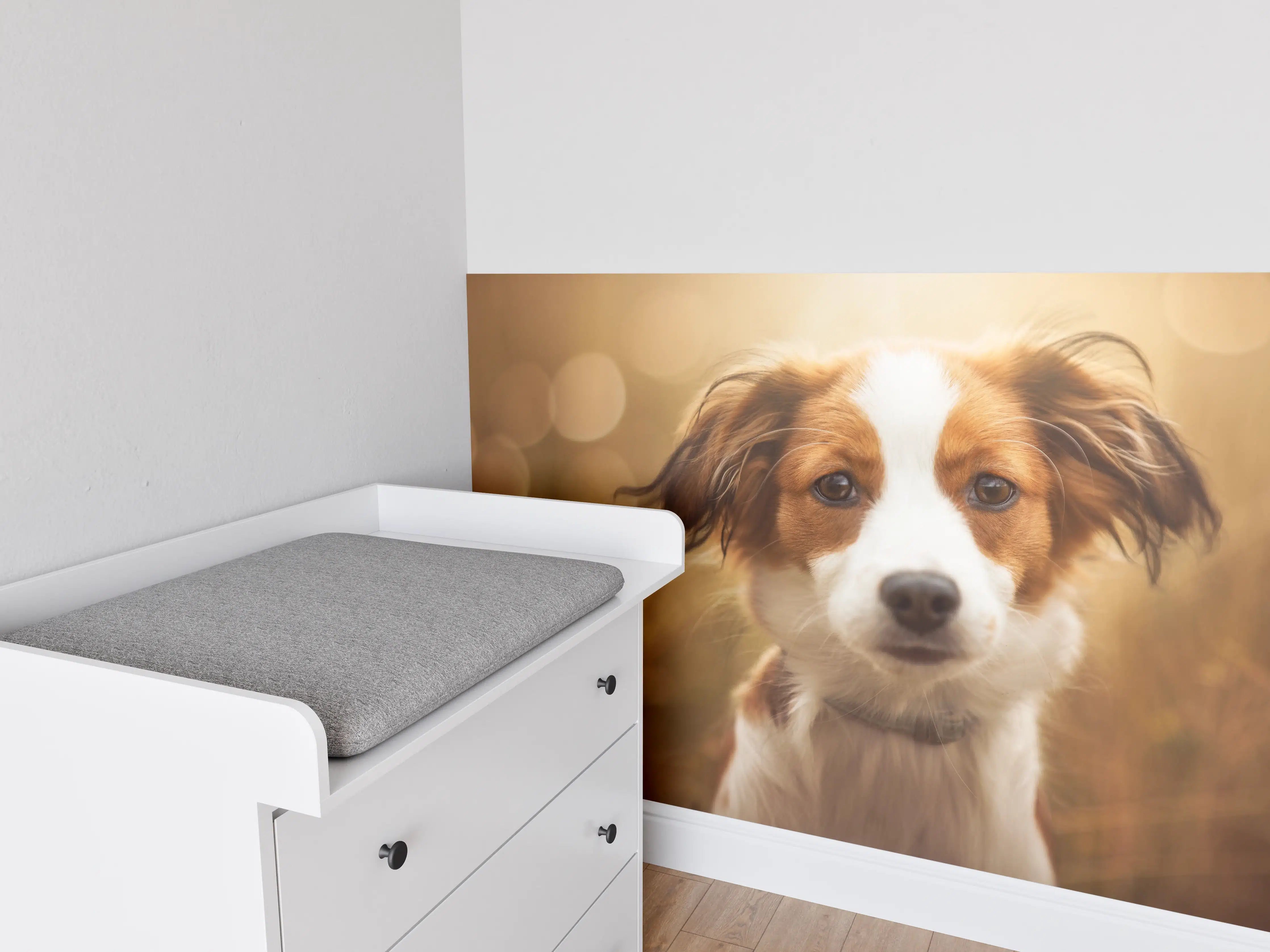 Babyzimmer Wandgestaltung - Portrait eines süßen Kooiker Hundes