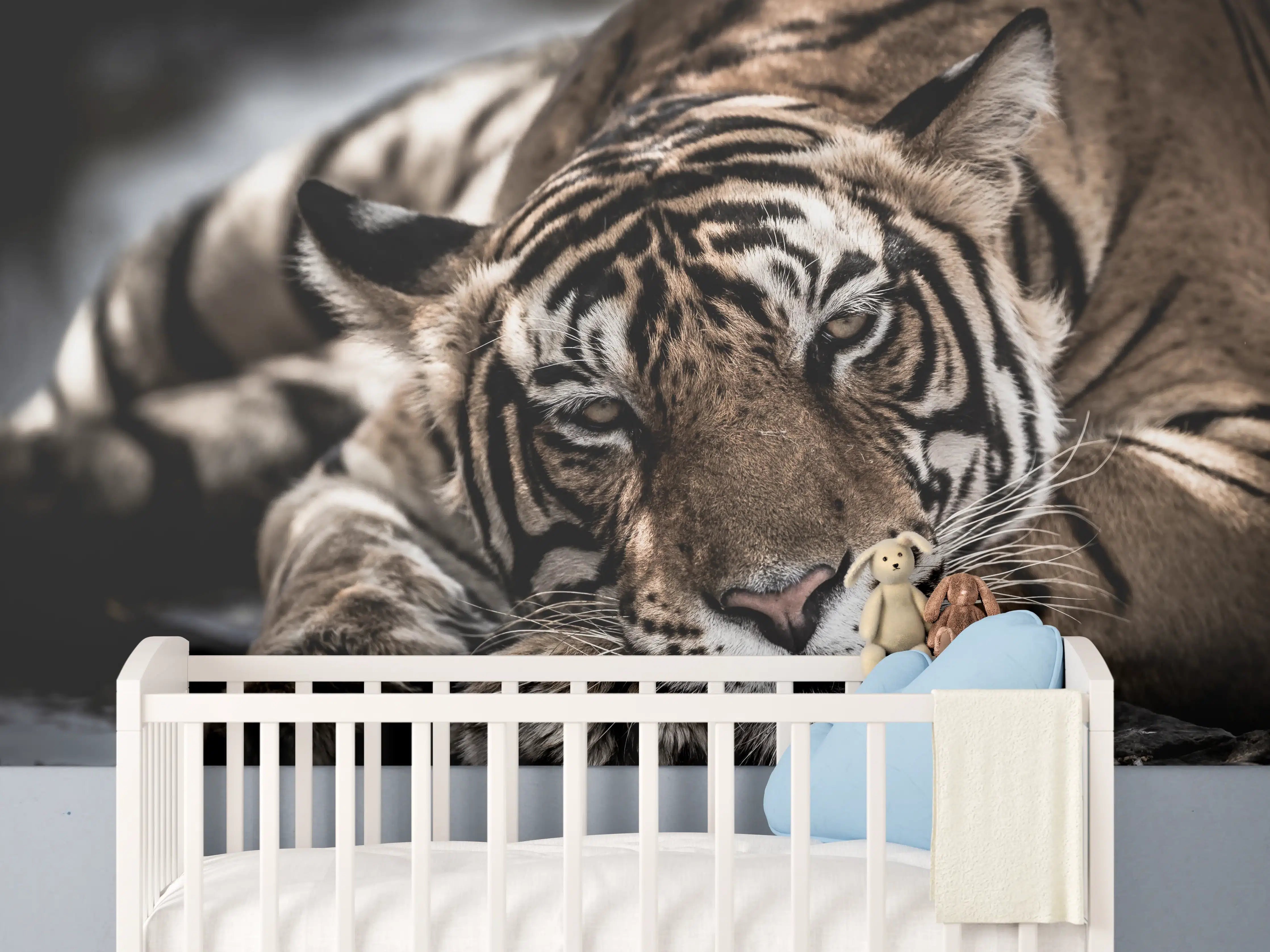 Babyzimmer Wandgestaltung - Prächtiger Tiger in Ruhe