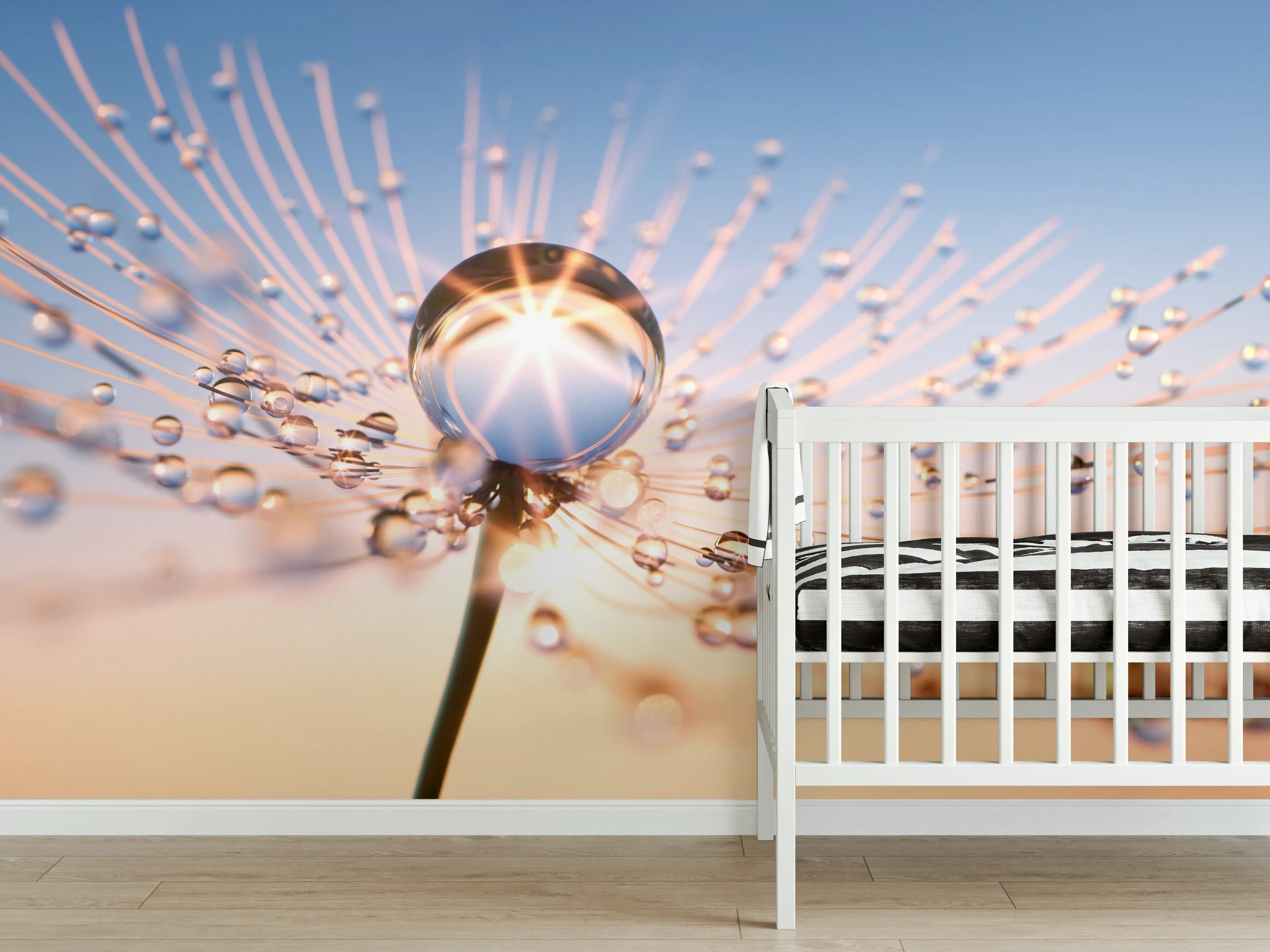 Babyzimmer Wandgestaltung - Pusteblume in Nahaufnahme mit Tautropfen