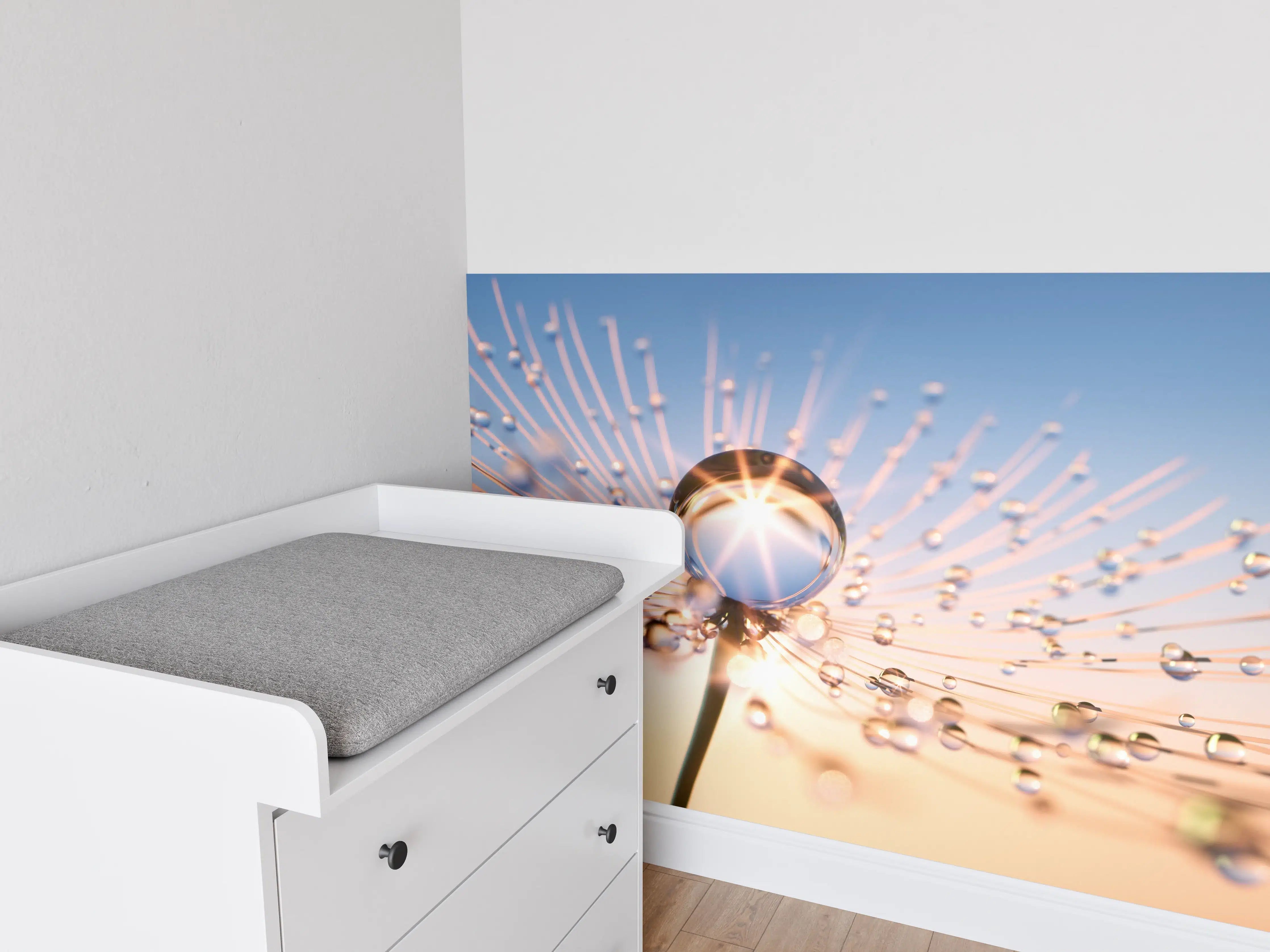 Babyzimmer Wandgestaltung - Pusteblume in Nahaufnahme mit Tautropfen