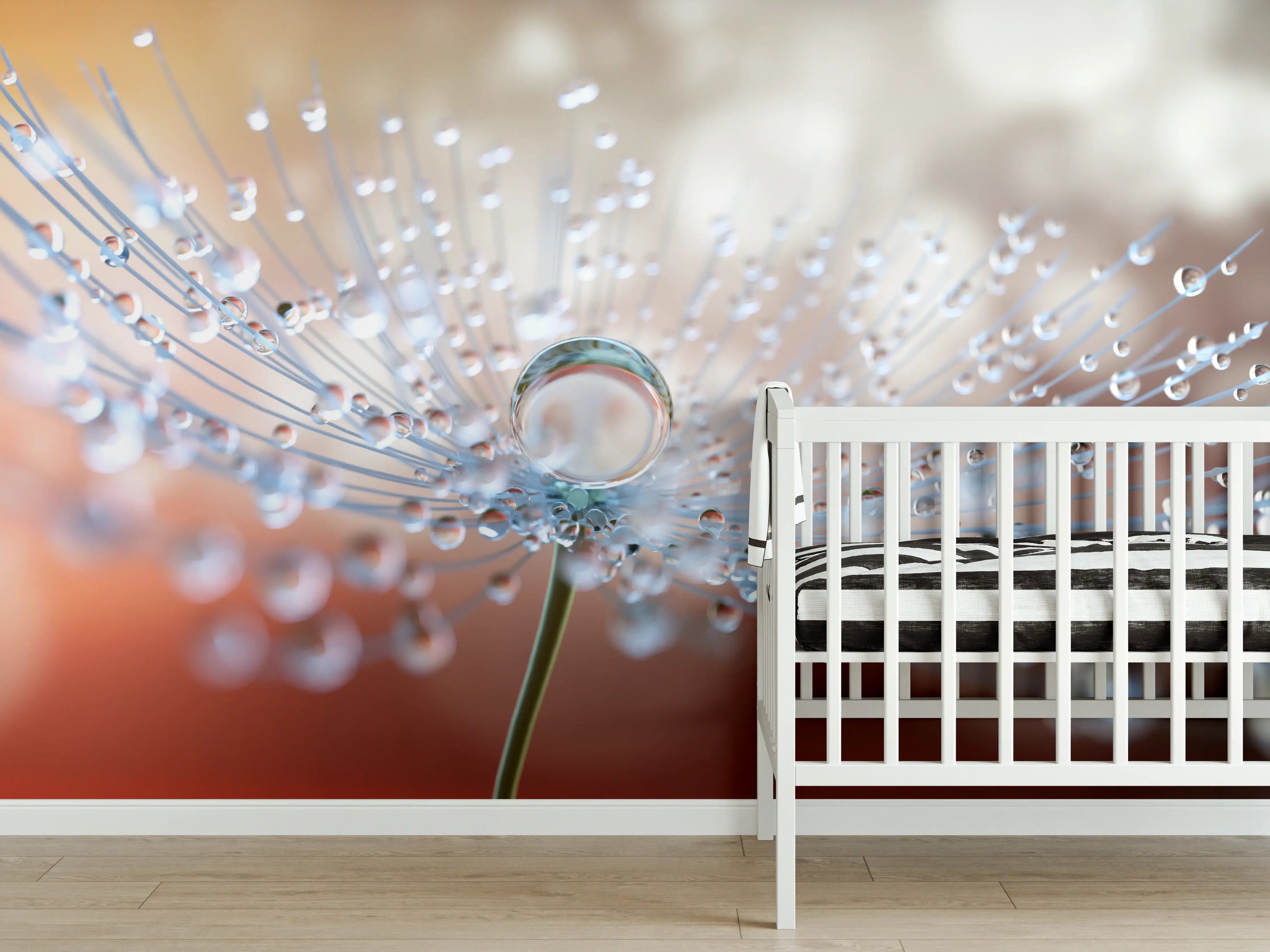 Babyzimmer Wandgestaltung - Pusteblume mit Tautropfen bei Abendlicht