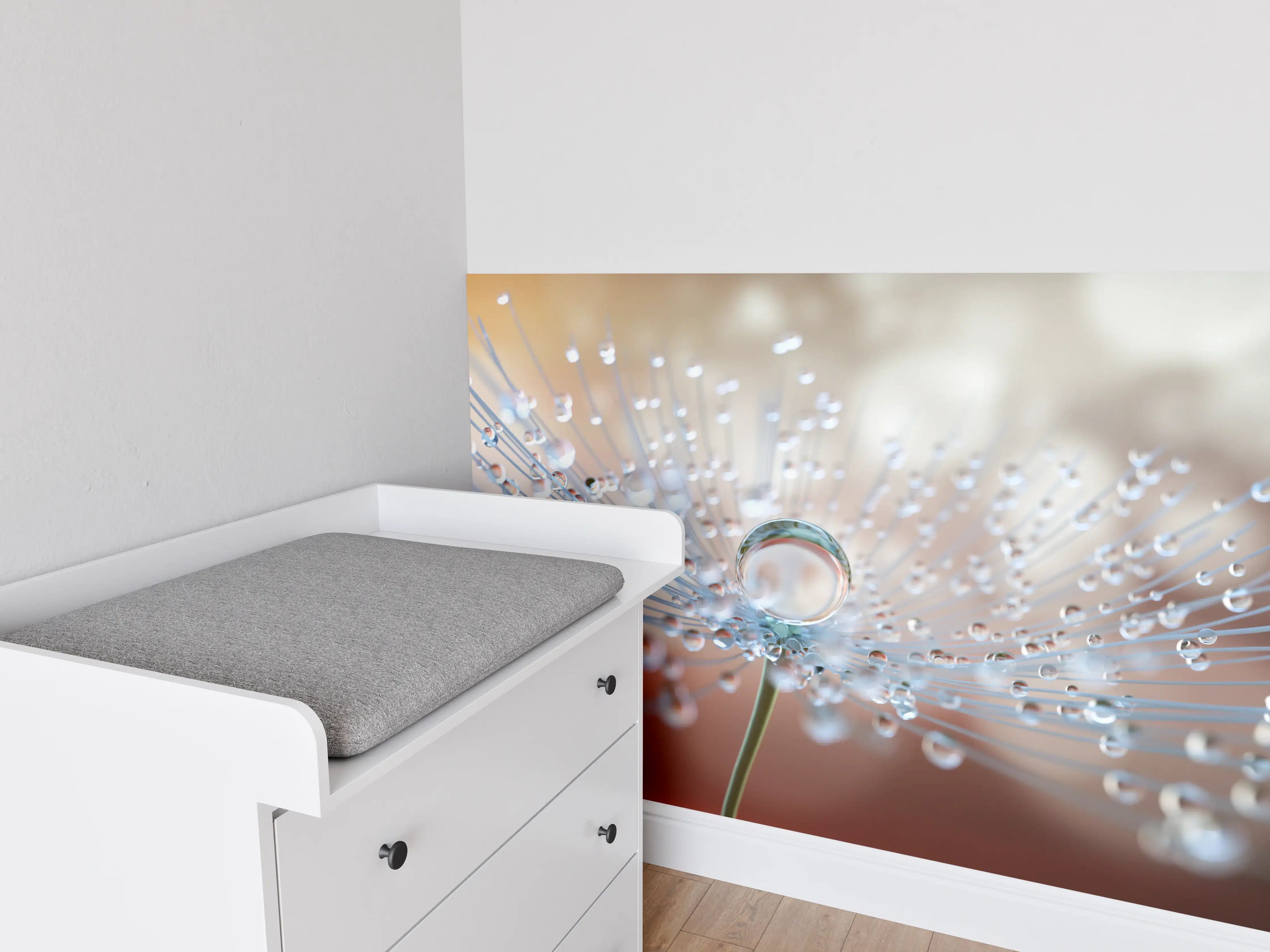 Babyzimmer Wandgestaltung - Pusteblume mit Tautropfen bei Abendlicht