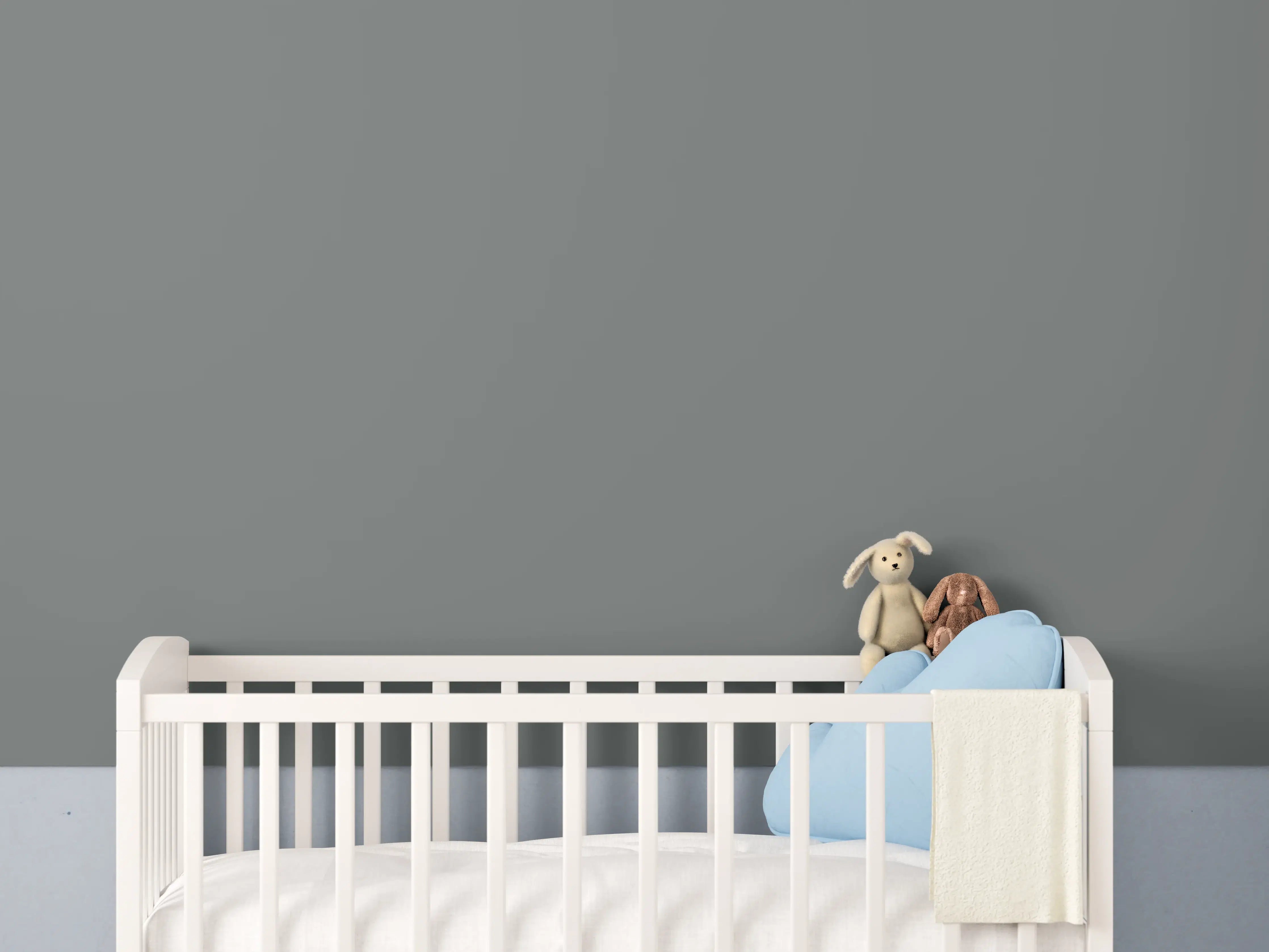 Babyzimmer Wandgestaltung - RAL 7005 (Mausgrau)