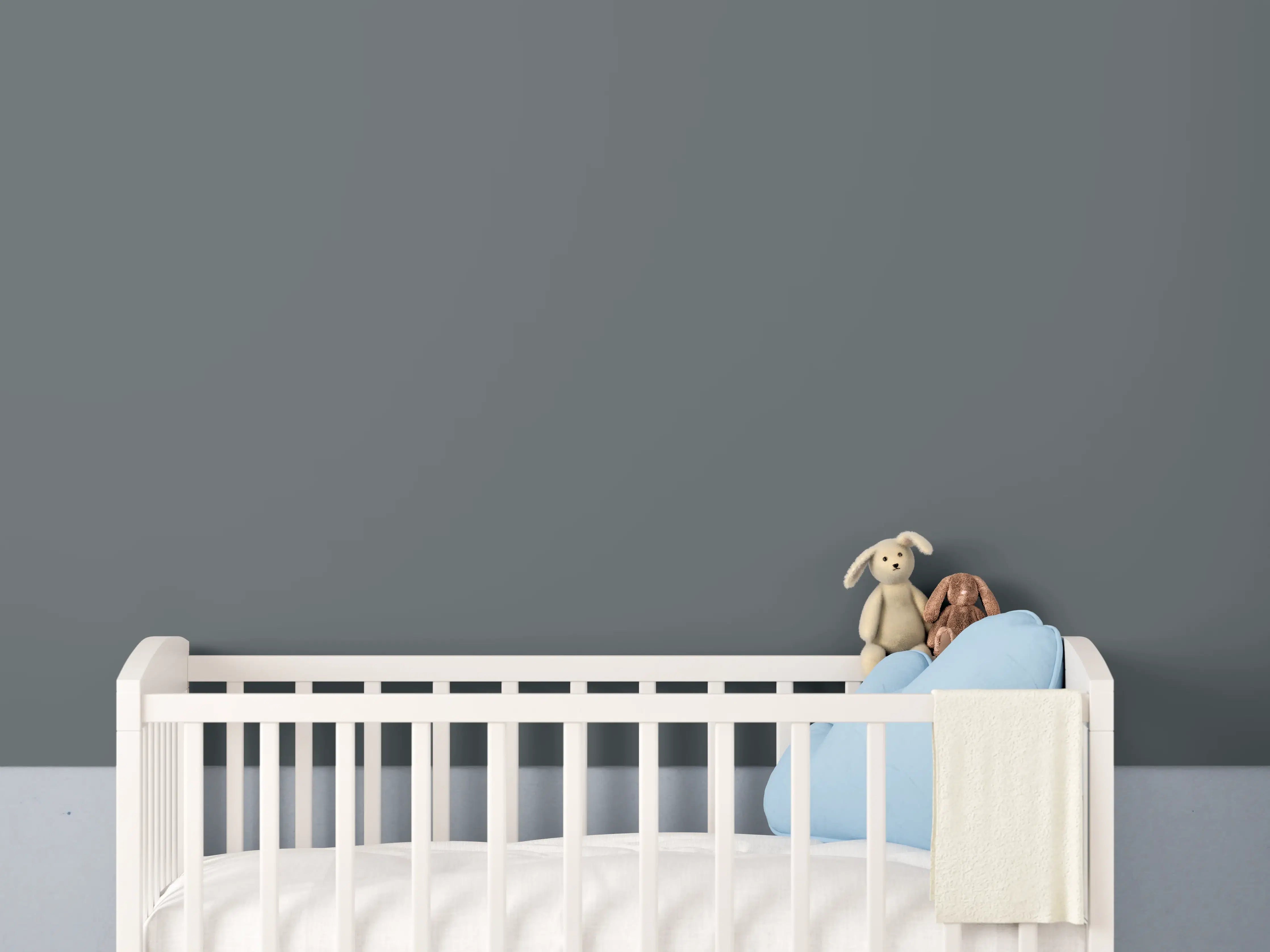 Babyzimmer Wandgestaltung - RAL 7011 (Eisengrau)
