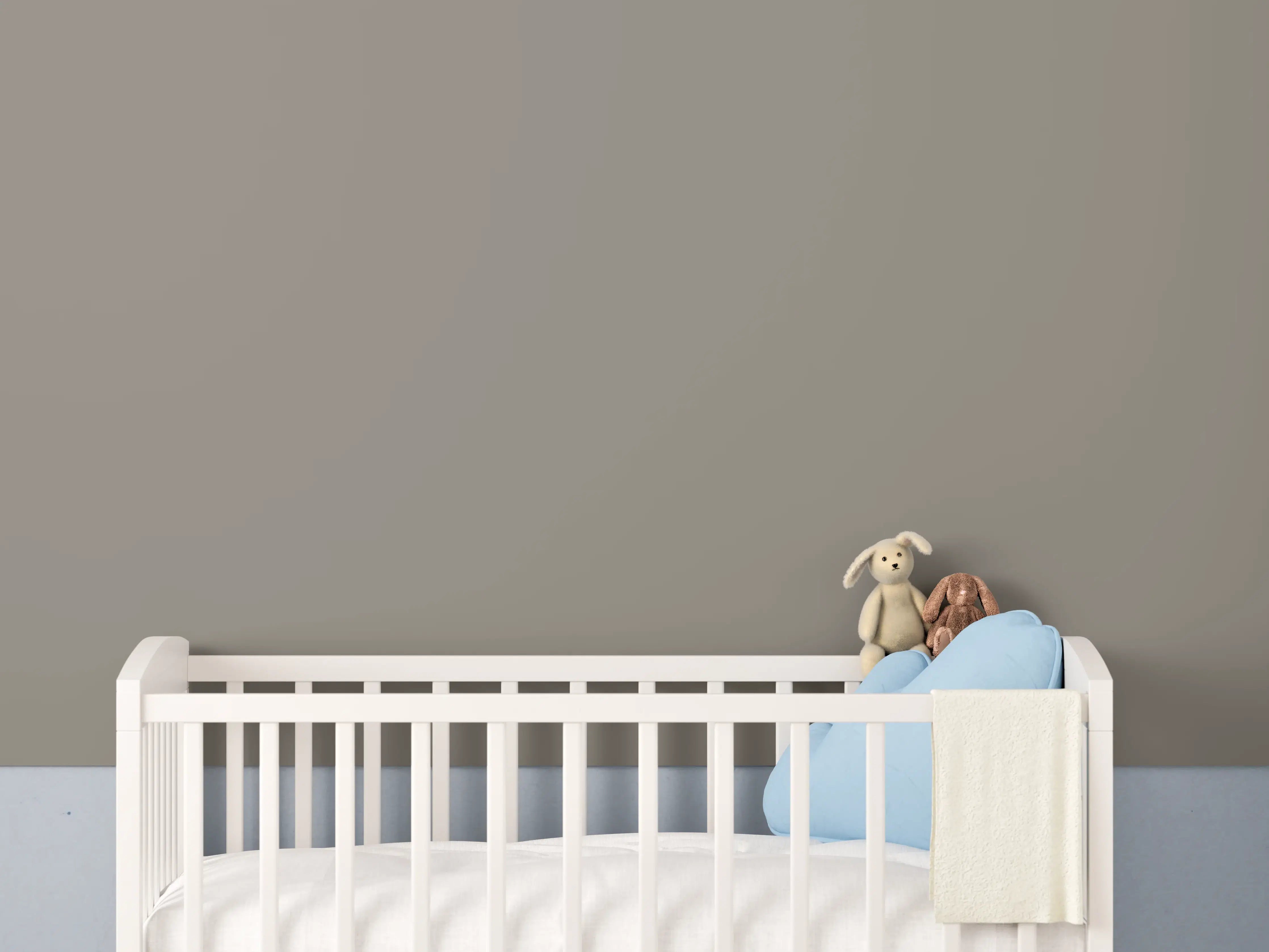 Babyzimmer Wandgestaltung - RAL 7048 (Perlmuttgrau)