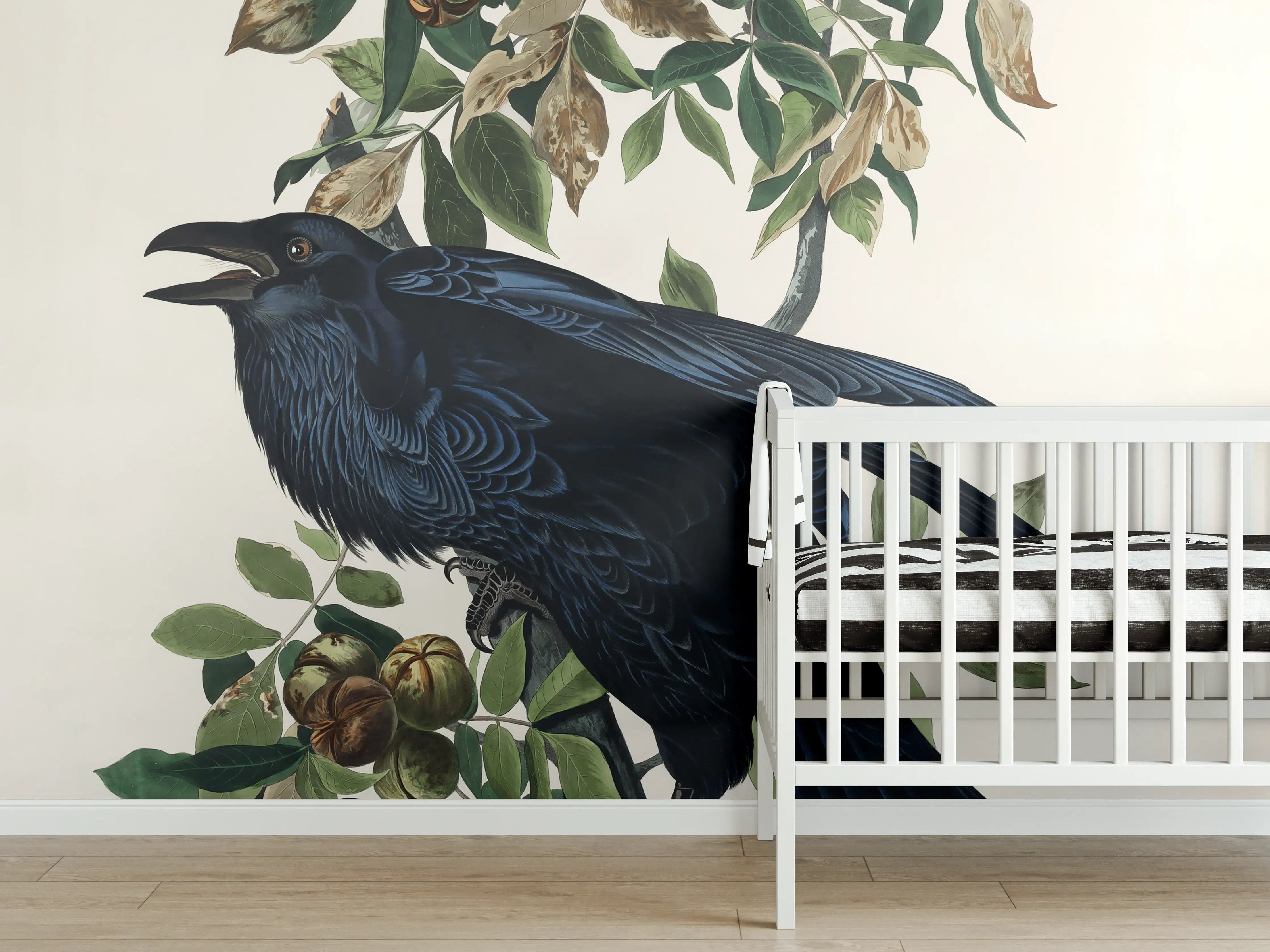 Babyzimmer Wandgestaltung - Raben Portrait - John James Audubon