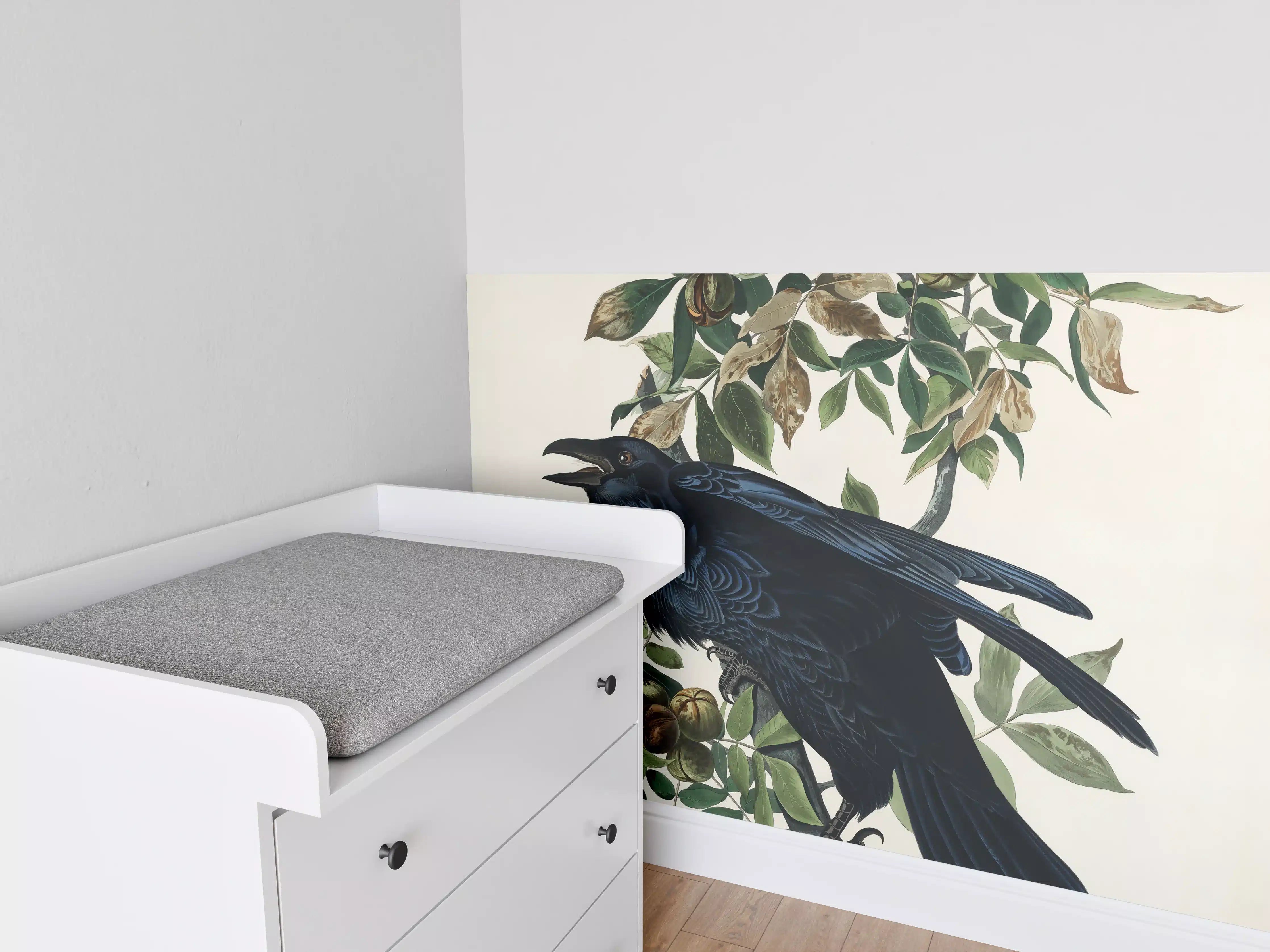 Babyzimmer Wandgestaltung - Raben Portrait - John James Audubon