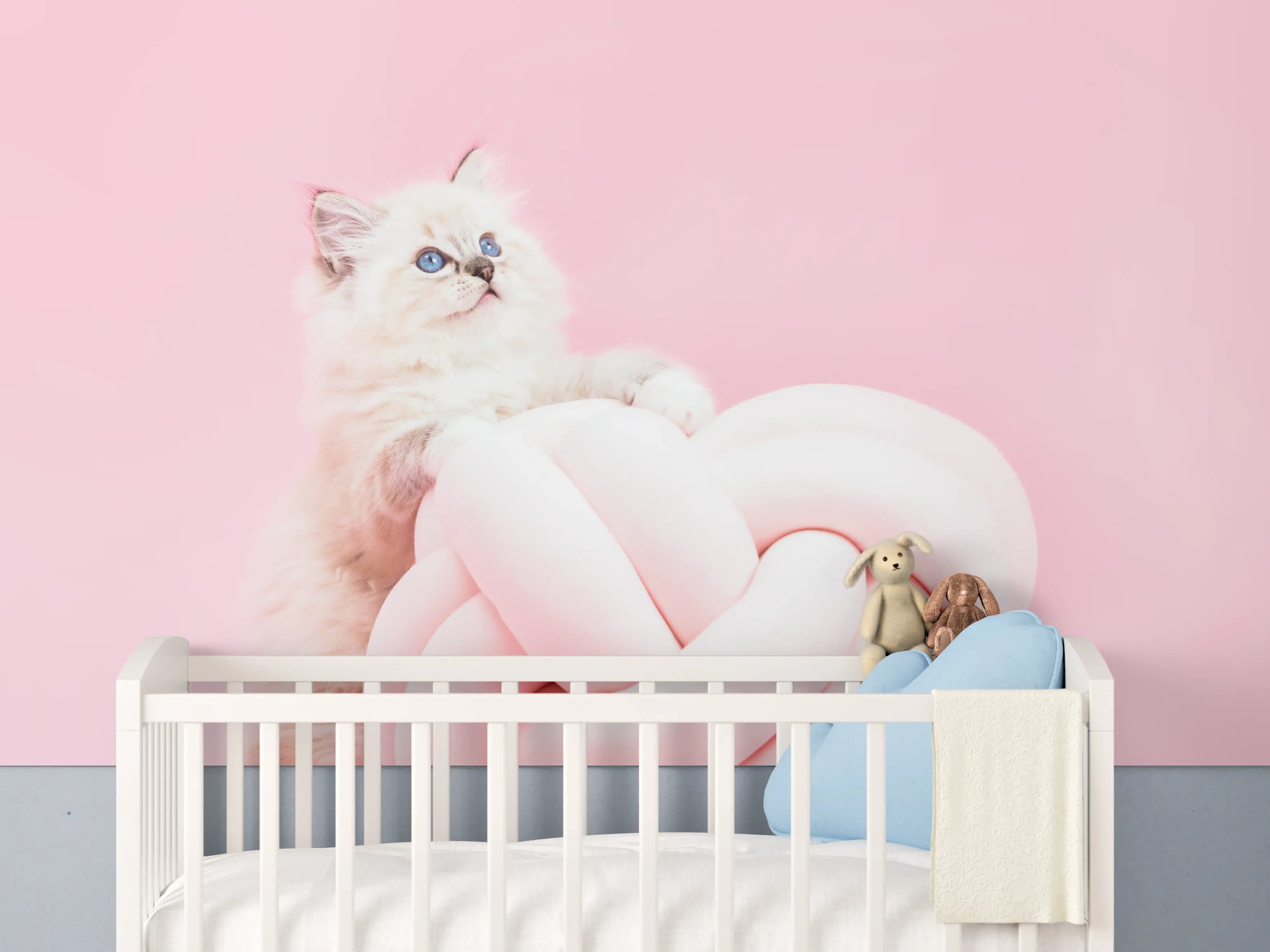 Babyzimmer Wandgestaltung - Ragdoll Katze auf Pinken Hintergrund