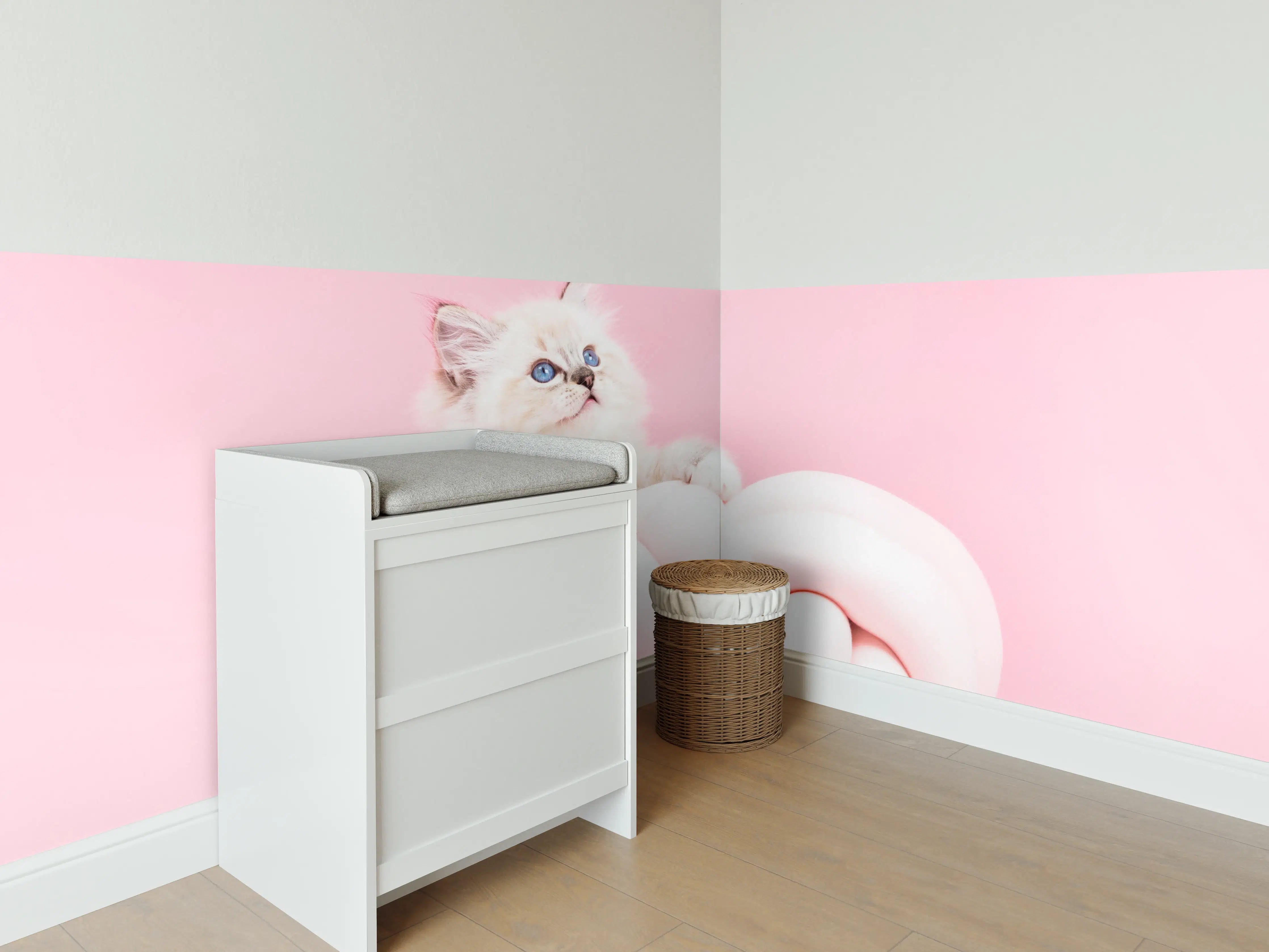 Babyzimmer Wandgestaltung - Ragdoll Katze auf Pinken Hintergrund