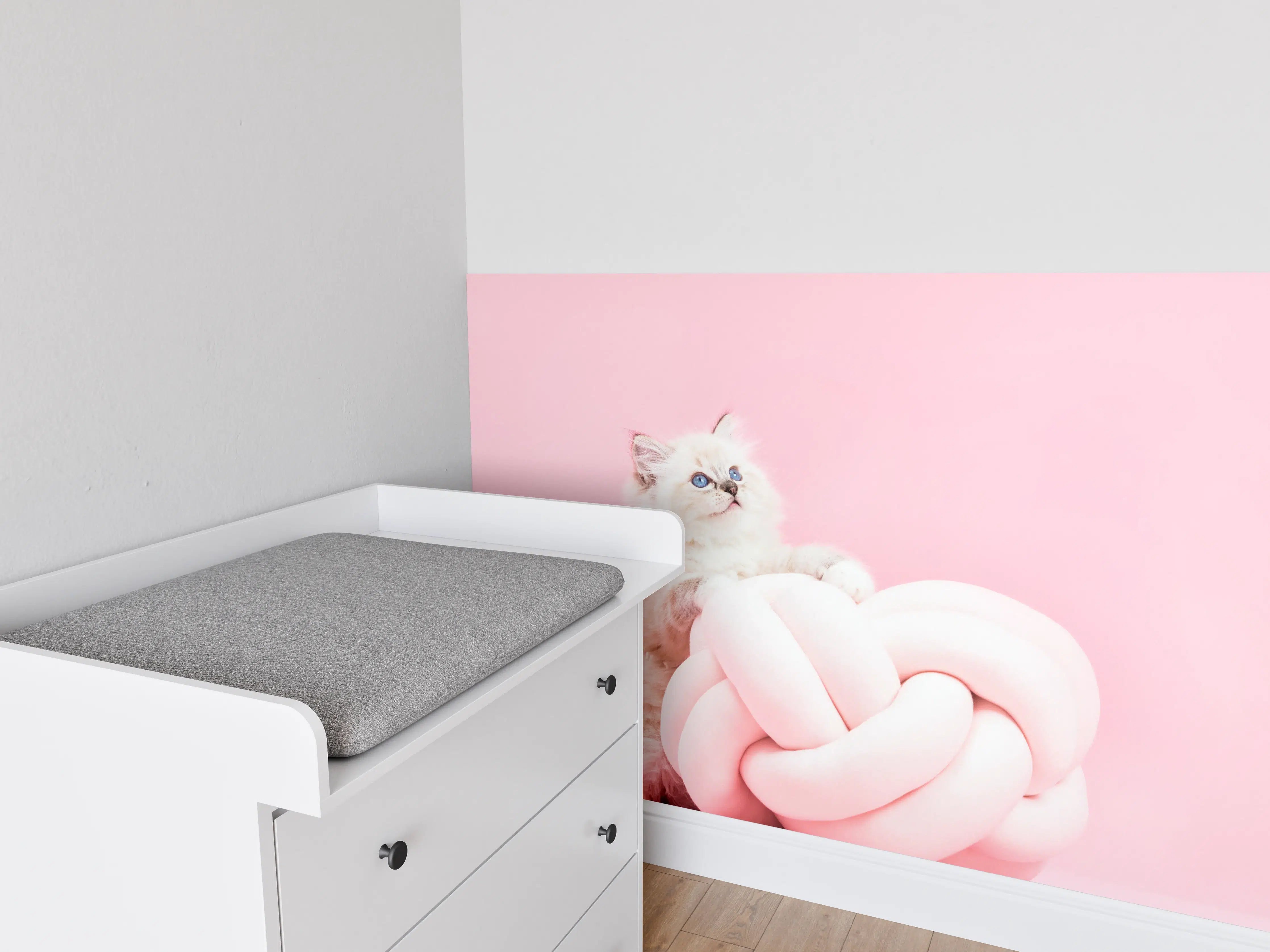 Babyzimmer Wandgestaltung - Ragdoll Katze auf Pinken Hintergrund