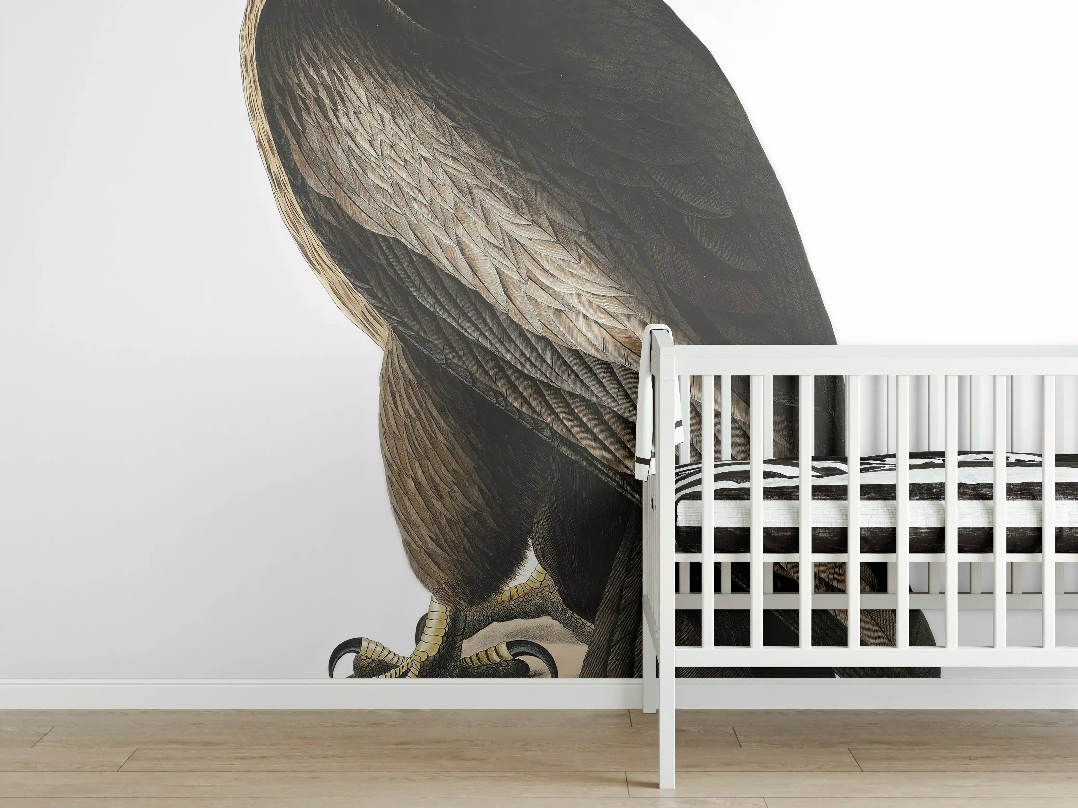 Babyzimmer Wandgestaltung - Riesenseeadler Portrait - John James Audubon