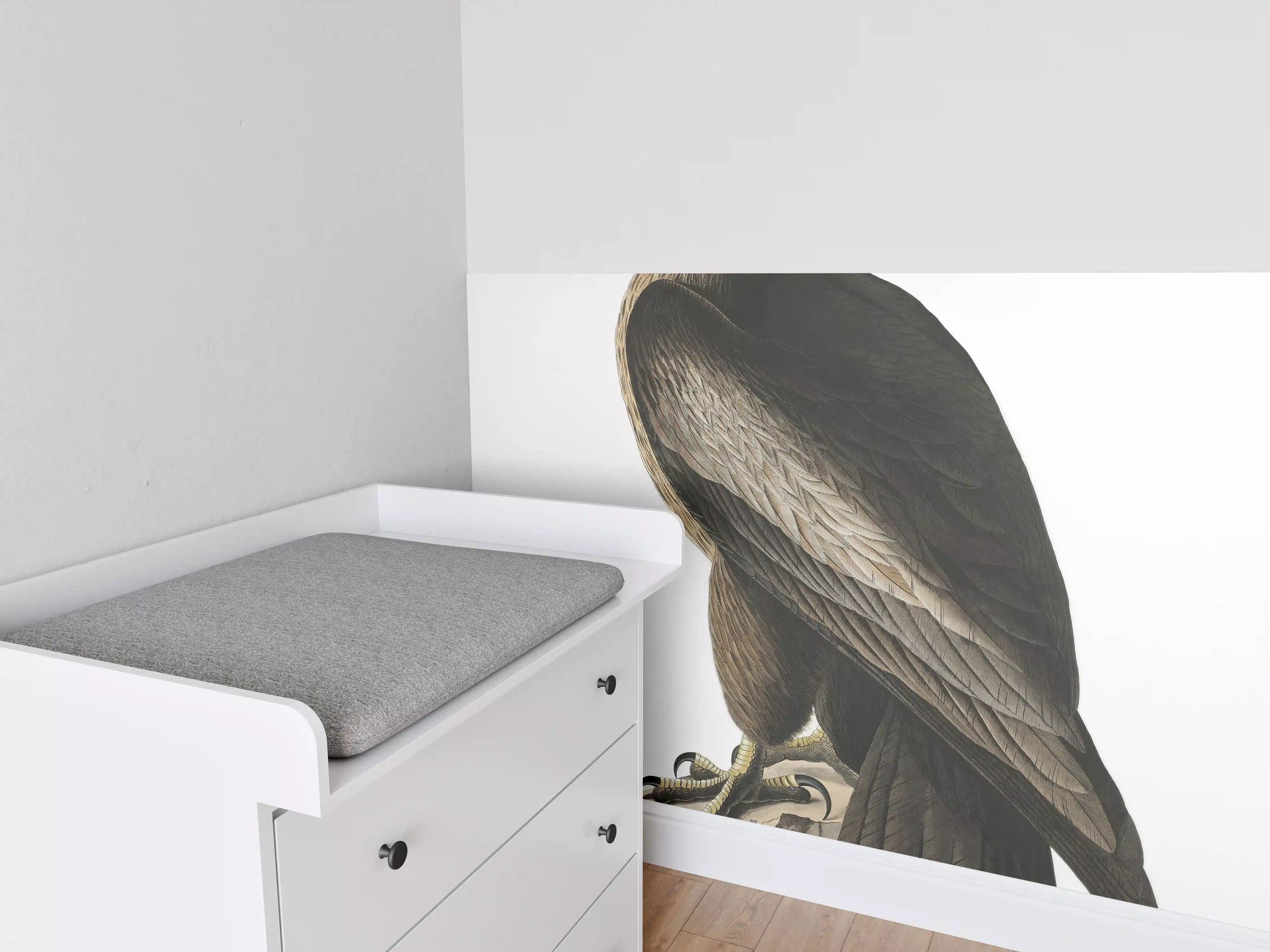Babyzimmer Wandgestaltung - Riesenseeadler Portrait - John James Audubon