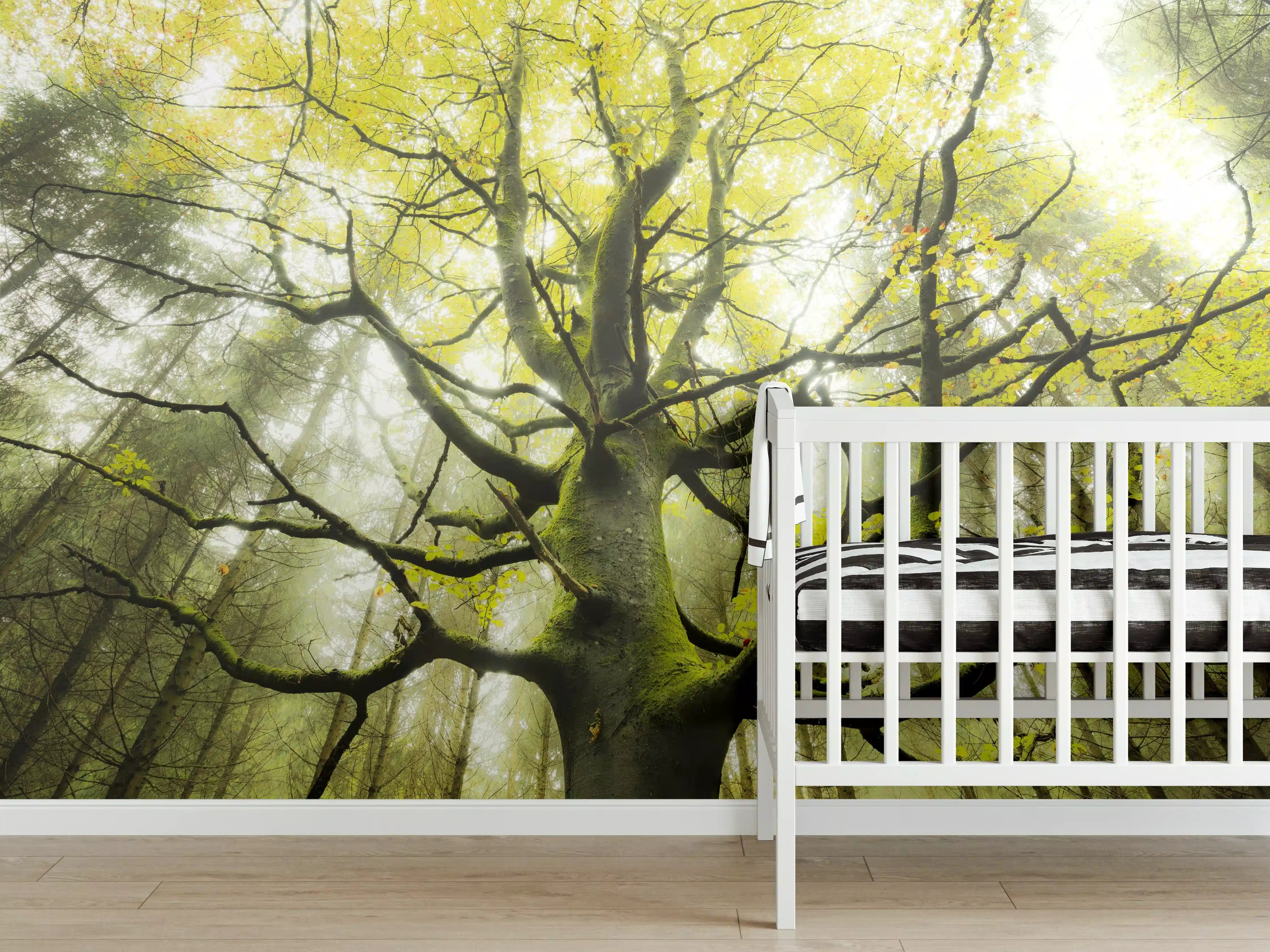 Babyzimmer Wandgestaltung - Riesiger Baum in Bayern