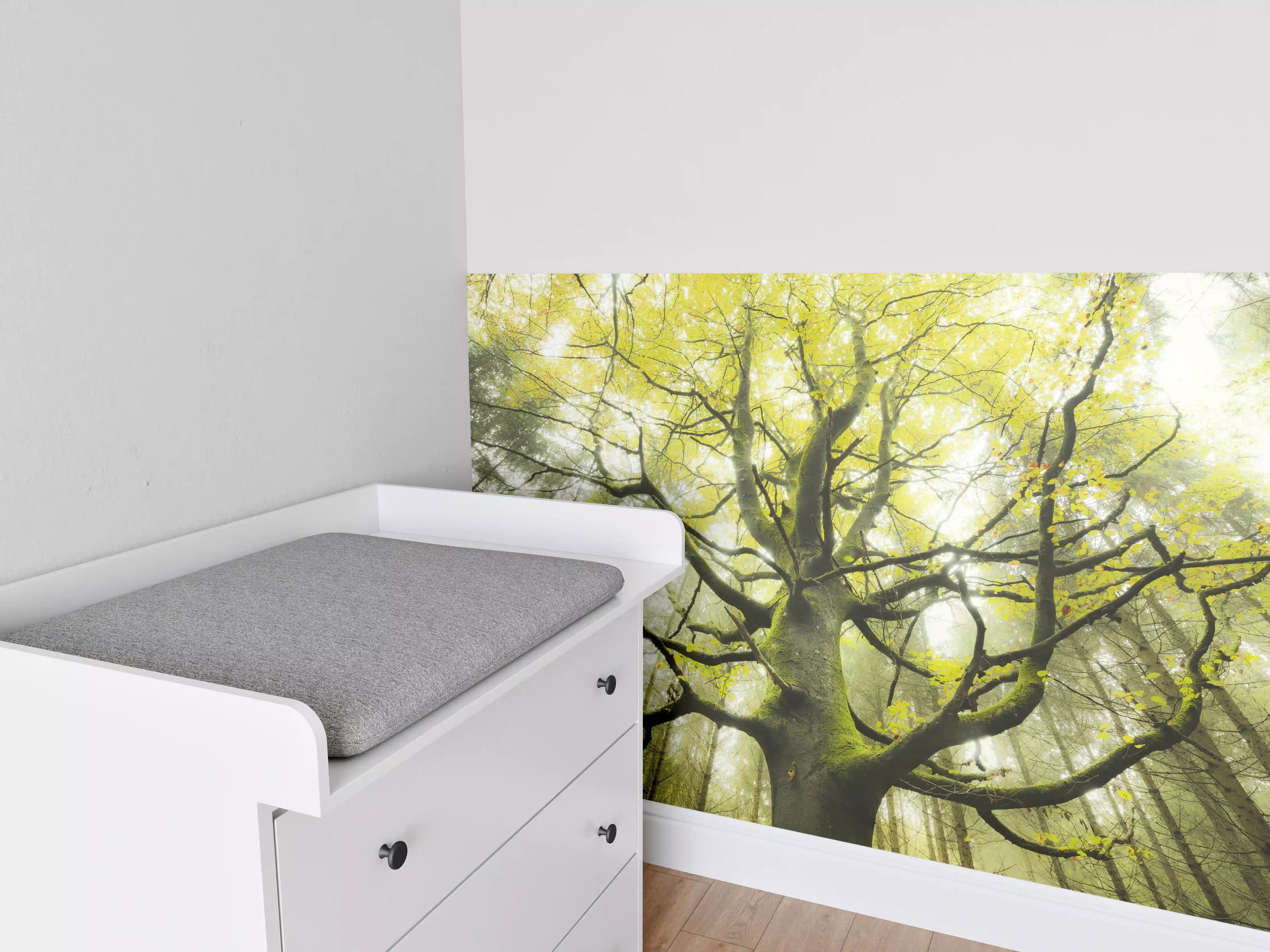 Babyzimmer Wandgestaltung - Riesiger Baum in Bayern