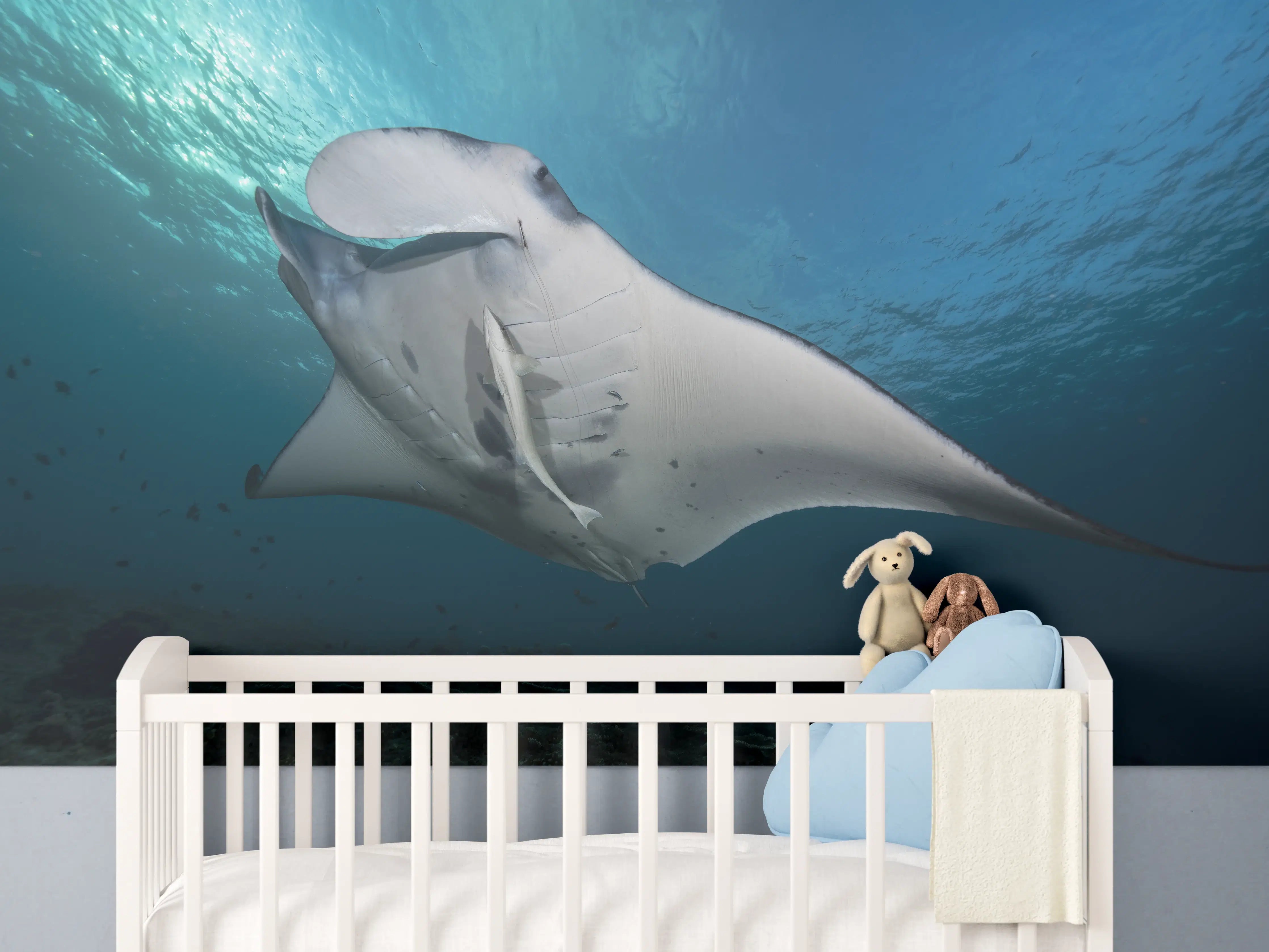 Babyzimmer Wandgestaltung - Riff-Manta Unterwasser