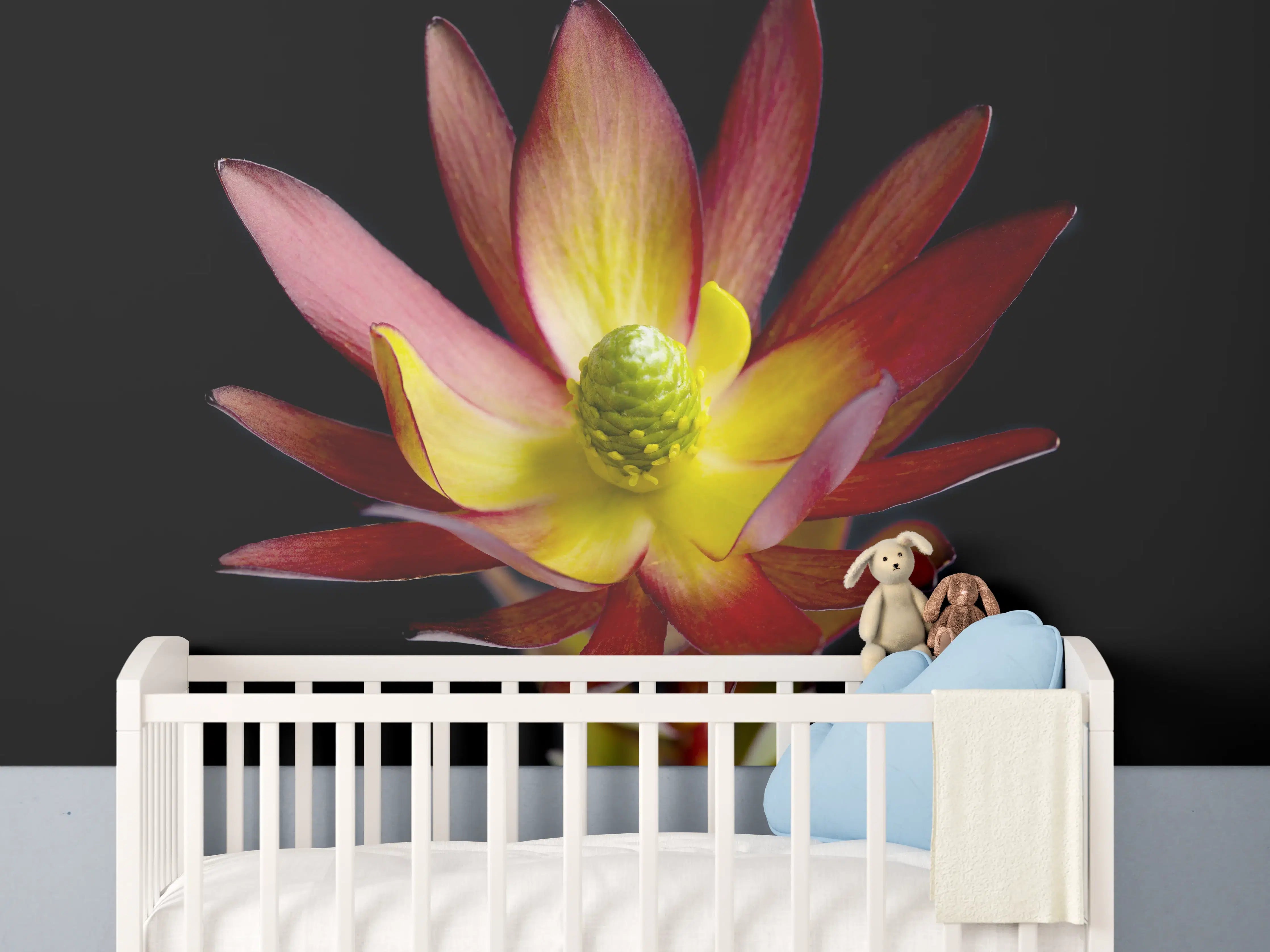 Babyzimmer Wandgestaltung - Rötliche aufblühende Lotosblume