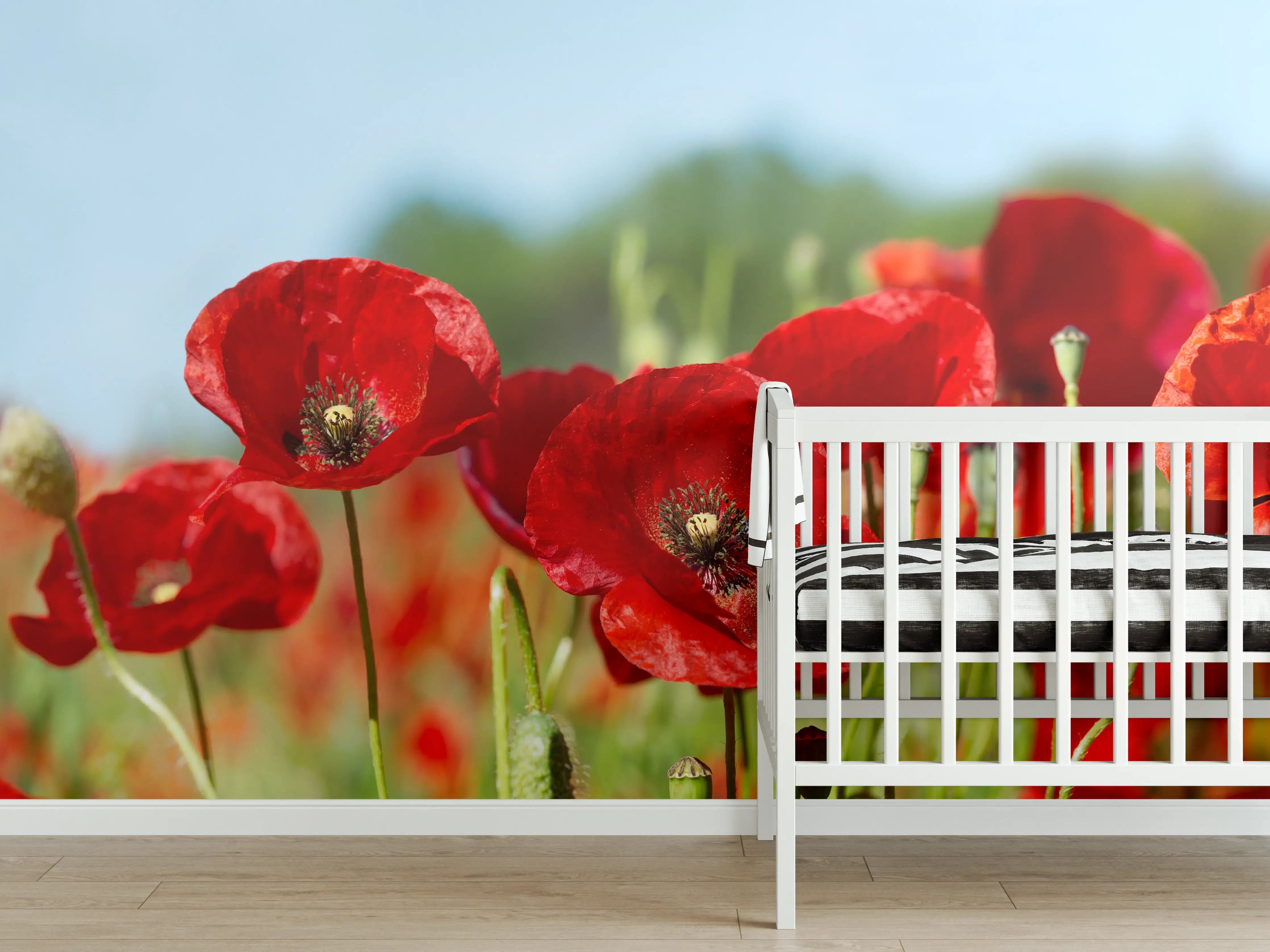 Babyzimmer Wandgestaltung - Rote Mohnblumen auf einem Feld