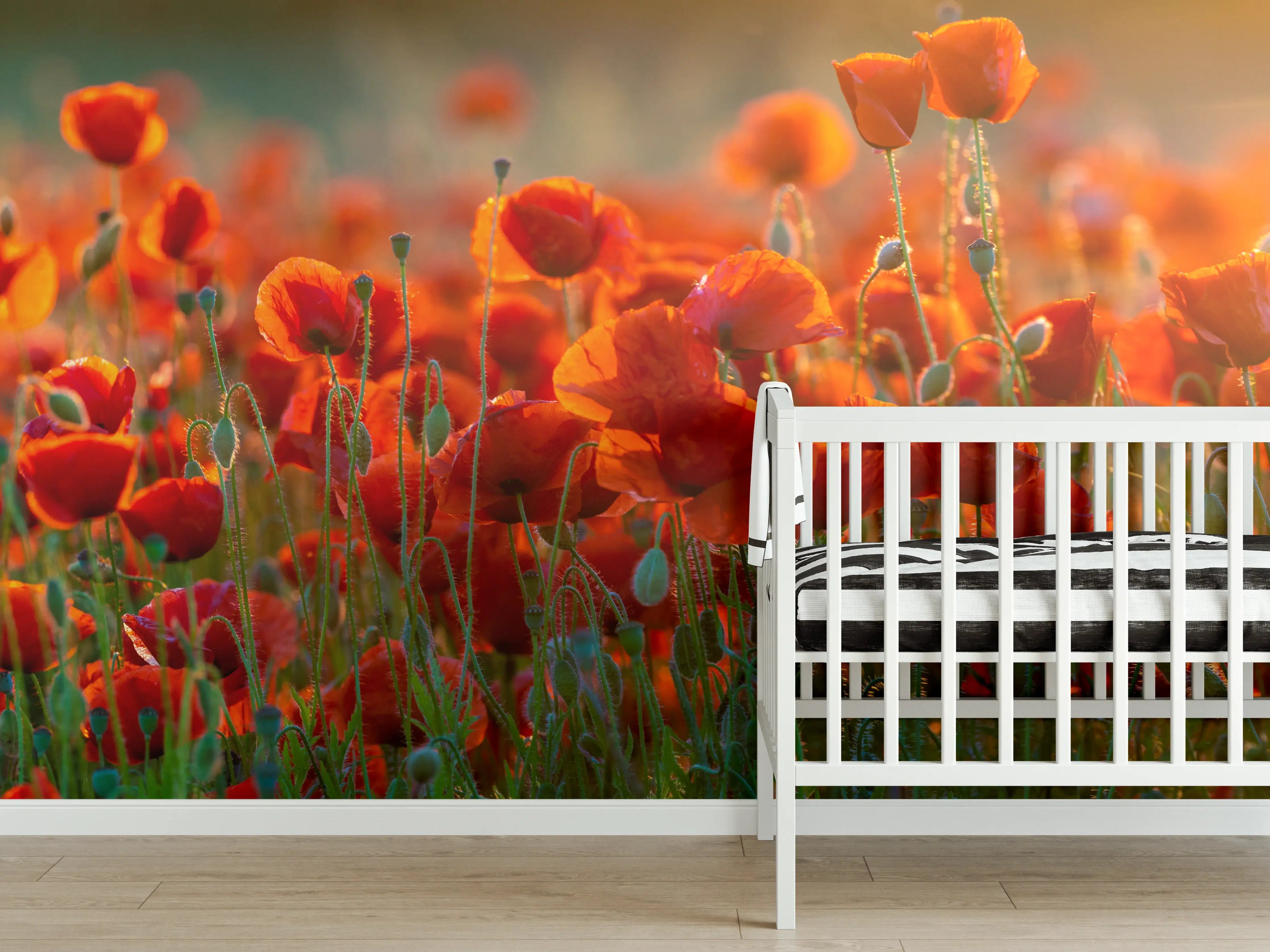 Babyzimmer Wandgestaltung - Rotes Mohnfeld Panorama