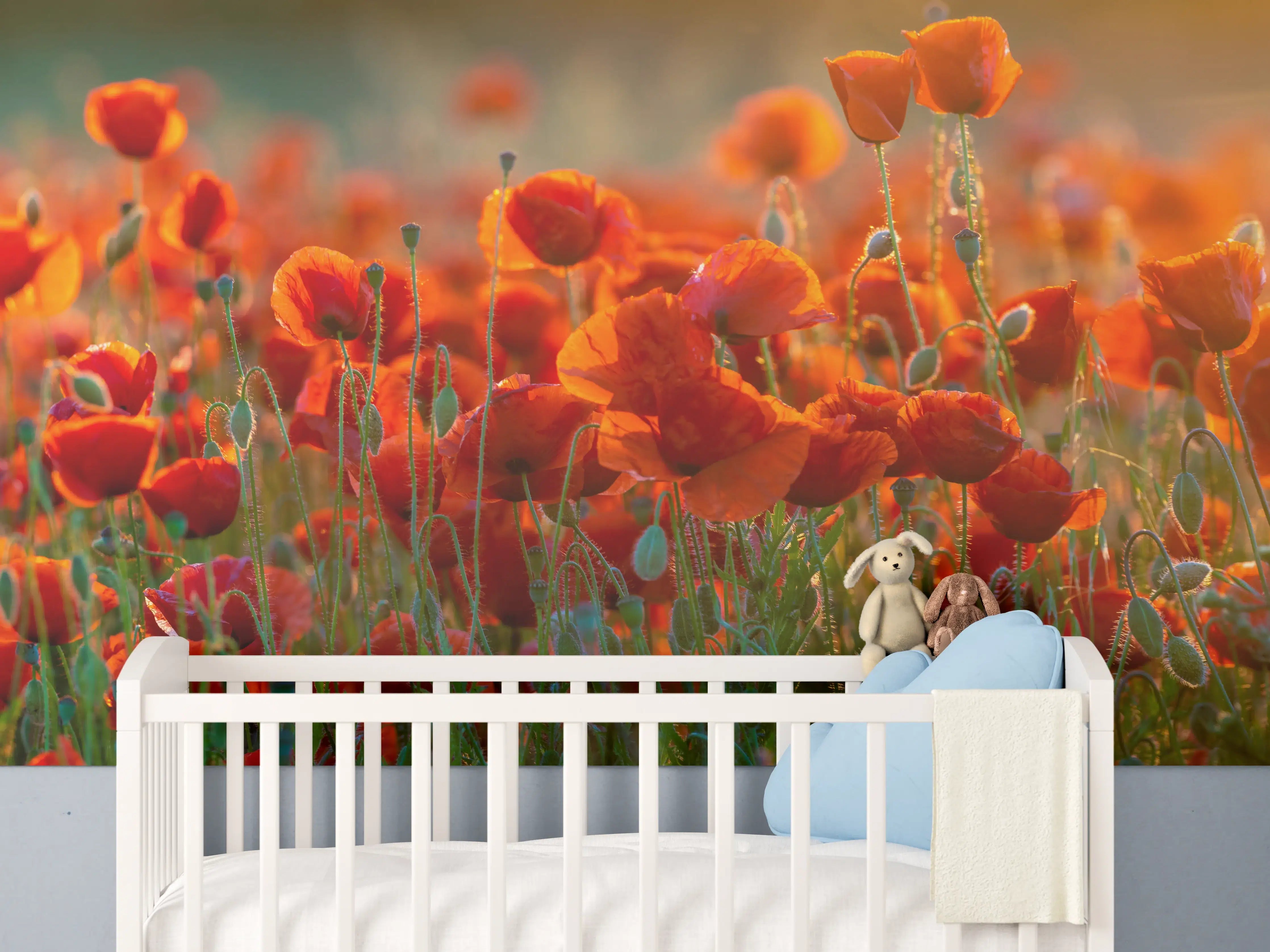 Babyzimmer Wandgestaltung - Rotes Mohnfeld Panorama