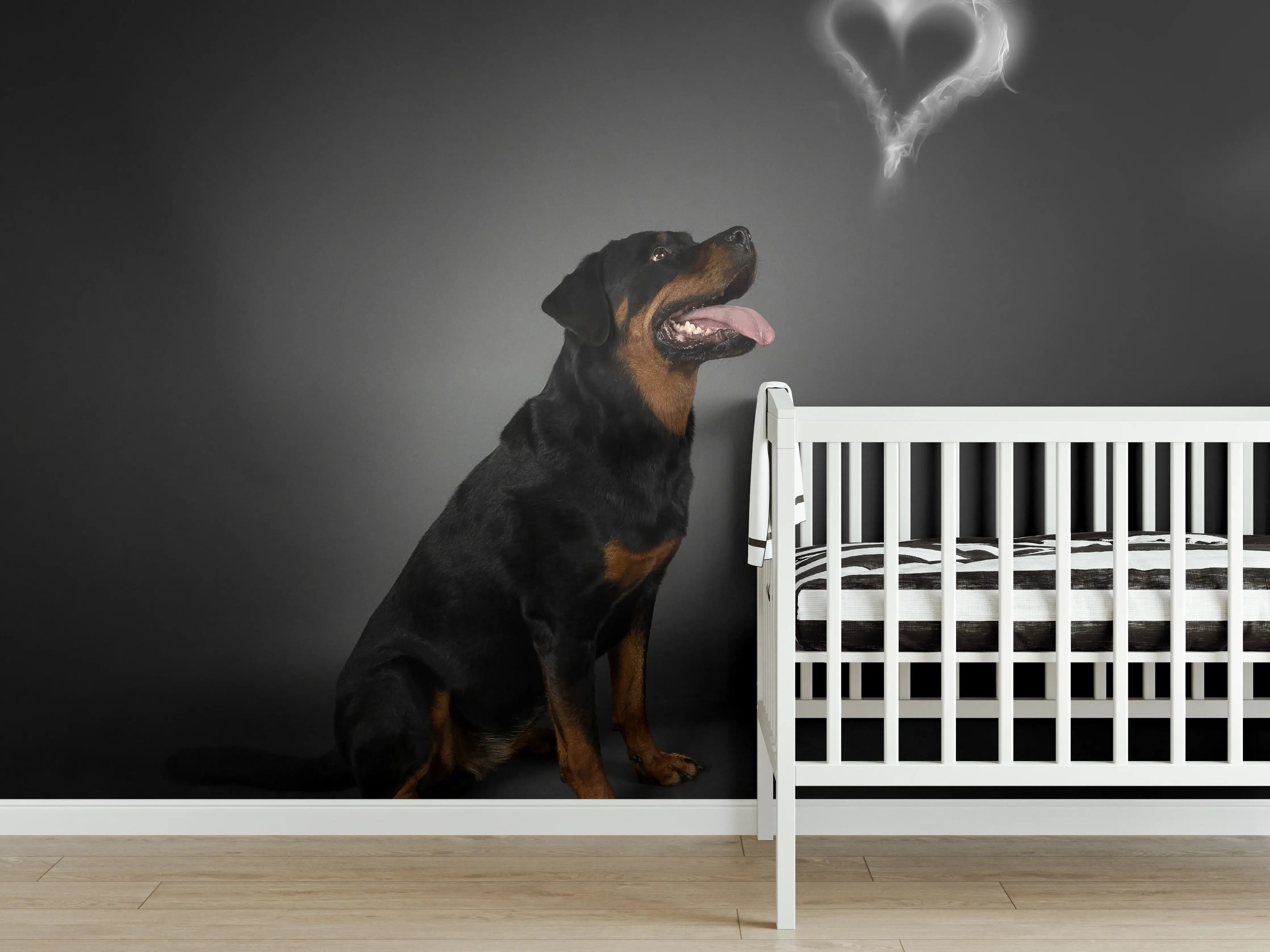 Babyzimmer Wandgestaltung - Rottweiler sitzend mit Blick auf Herz
