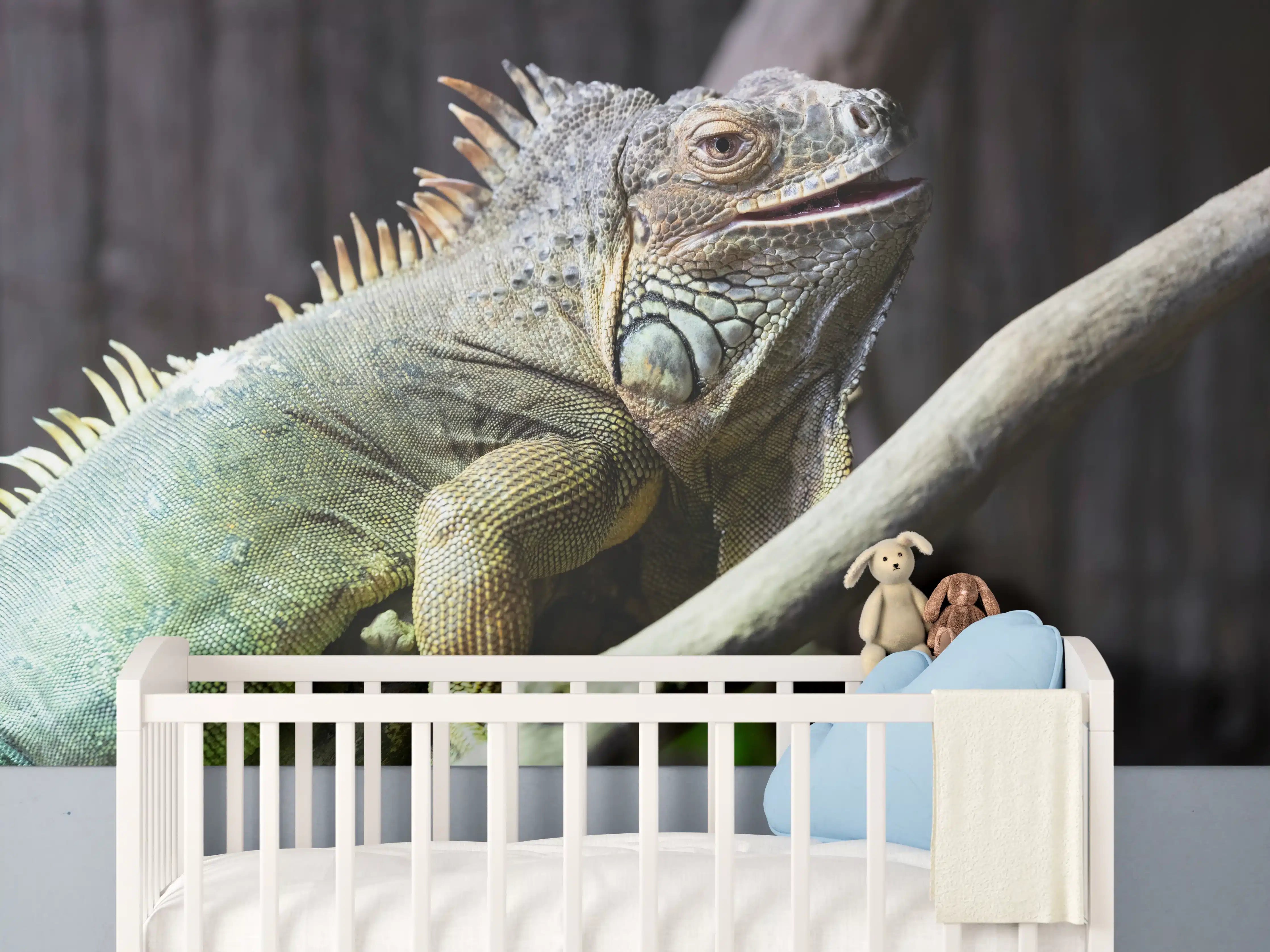 Babyzimmer Wandgestaltung - Ruhender Leguan