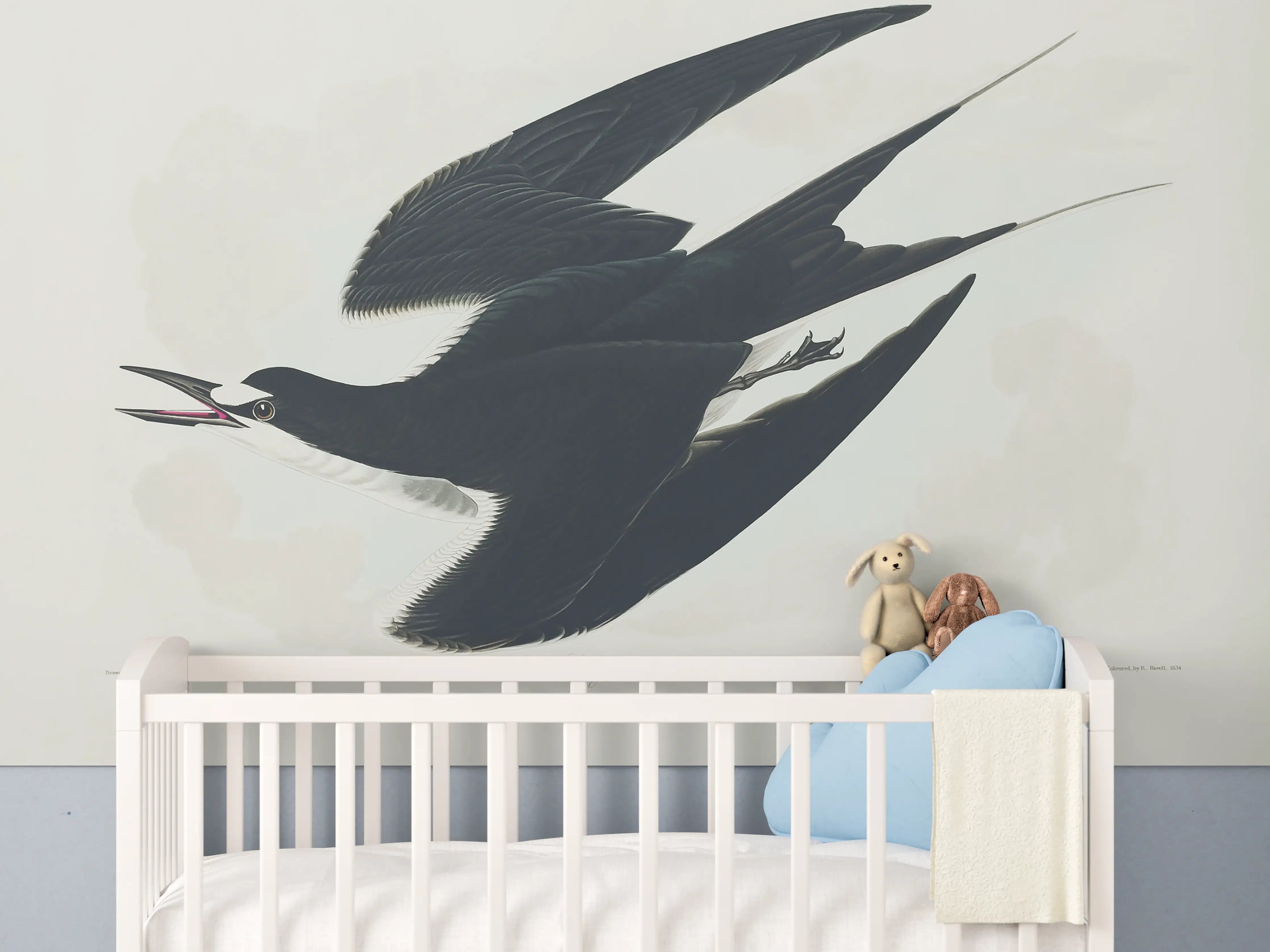 Babyzimmer Wandgestaltung - Rußseeschwalbe Portrait - John James Audubon